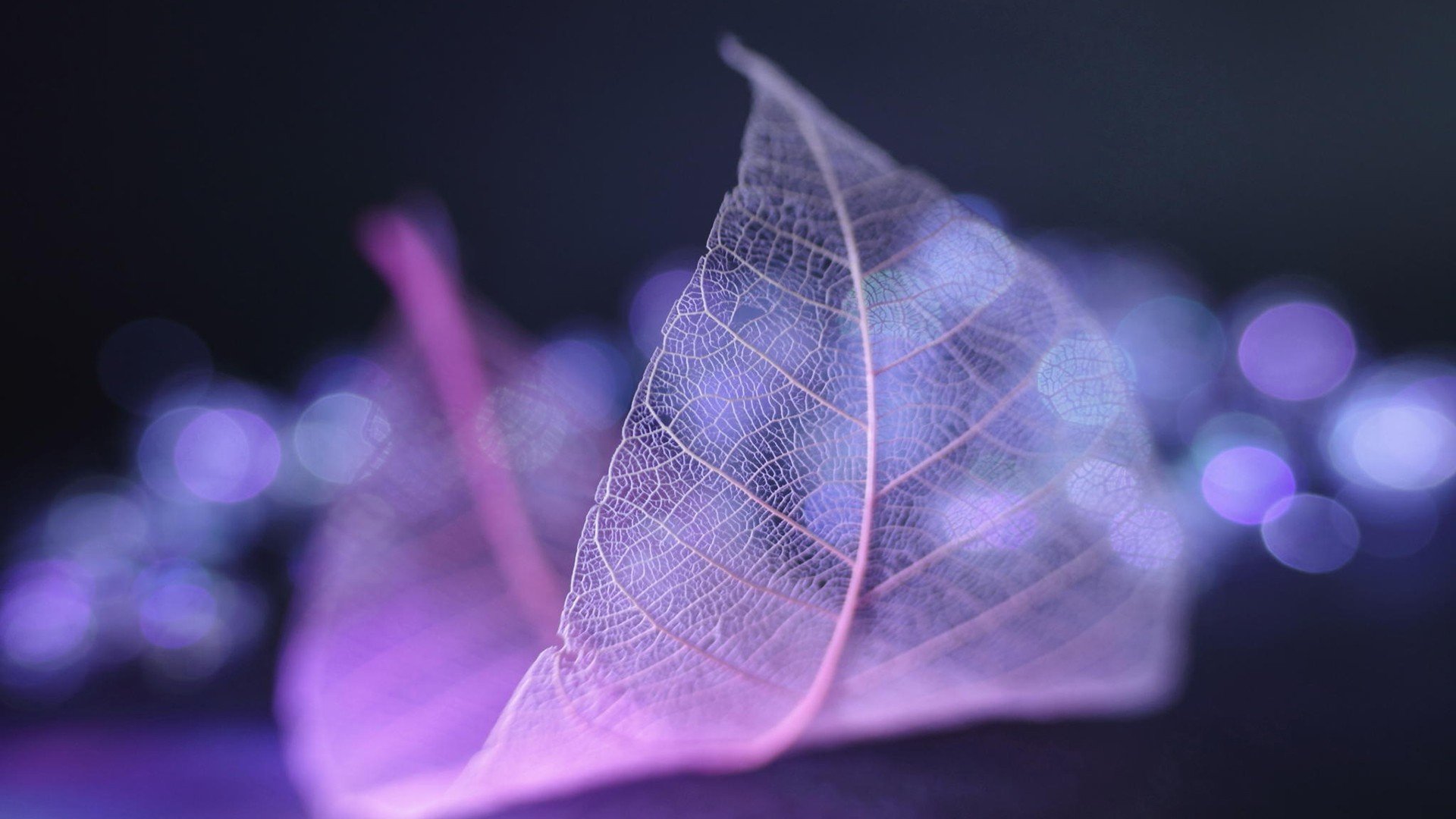 小清新 温暖 干净 安静 唯美 静物 物语 时光 清新淡雅 宁静安详