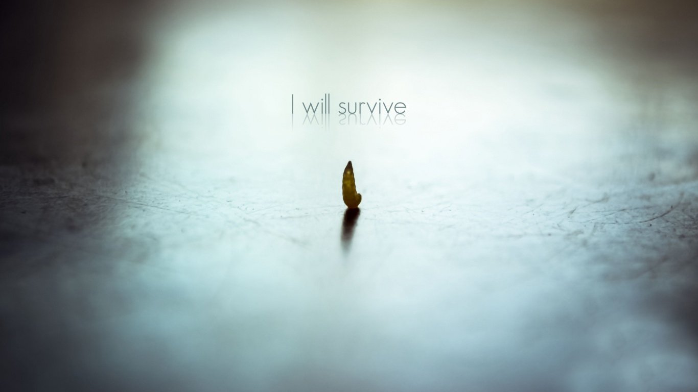 小清新 温暖 干净 安静 唯美 静物 物语 时光 清新淡雅 宁静安详