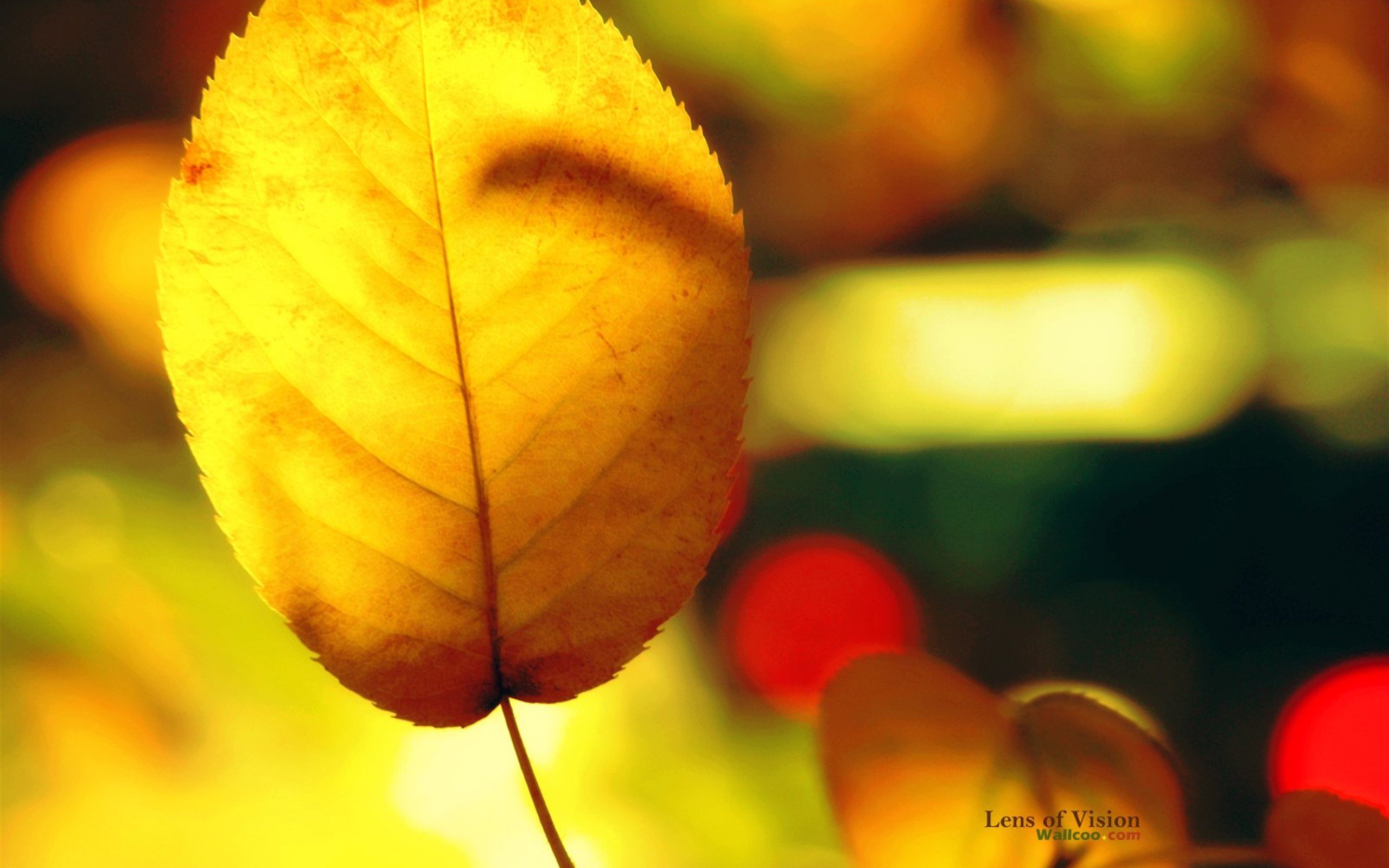 小清新 温暖 干净 安静 唯美 静物 物语 时光 清新淡雅 宁静安详