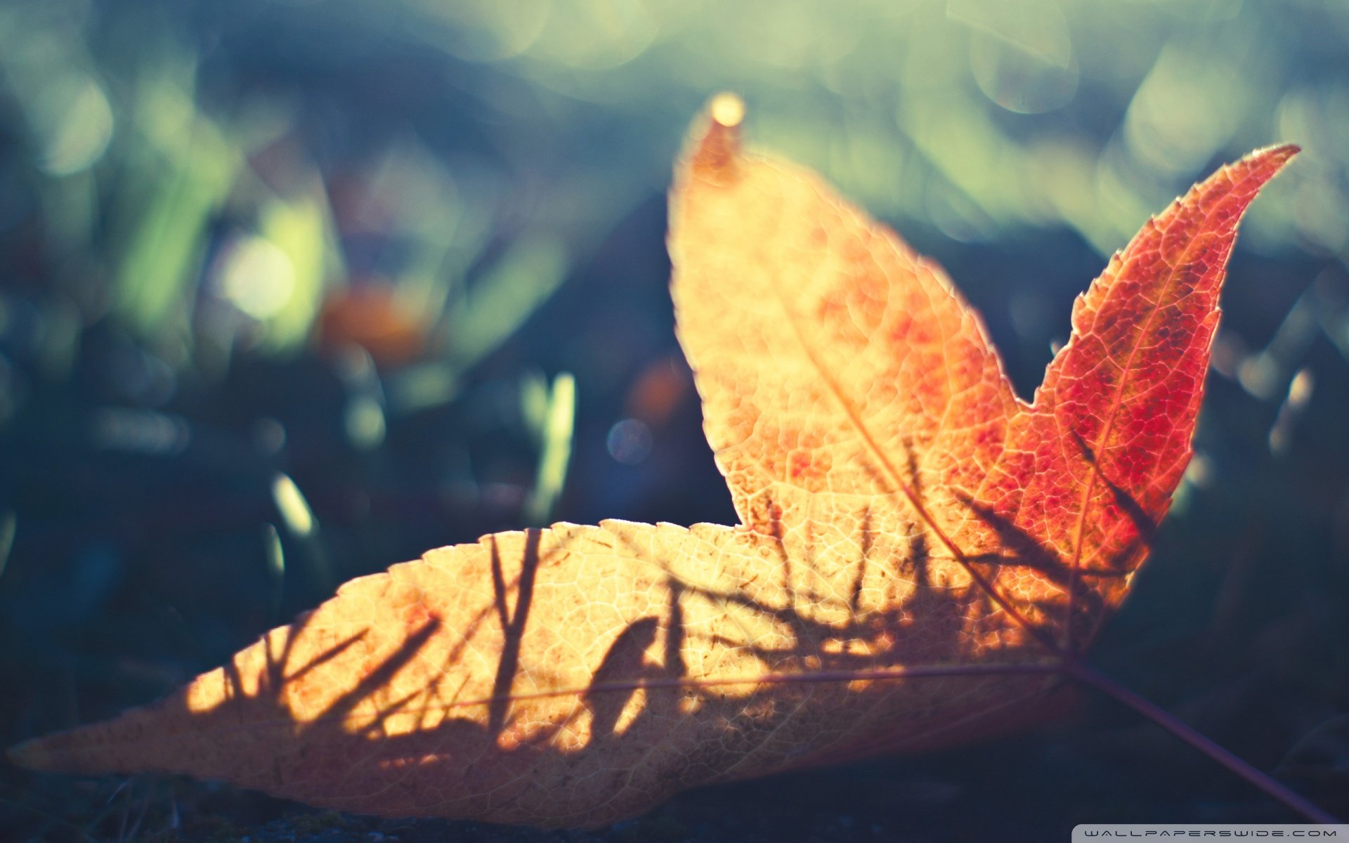 小清新 温暖 干净 安静 唯美 静物 物语 时光 清新淡雅 宁静安详