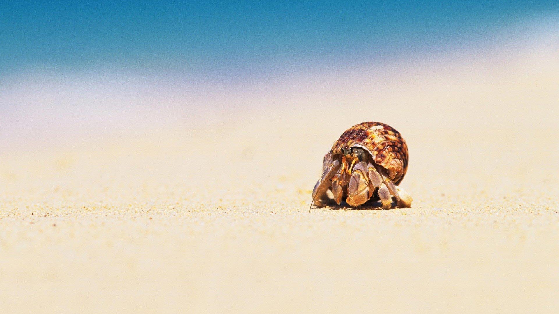 小清新 温暖 干净 安静 唯美 静物 物语 时光 清新淡雅 宁静安详
