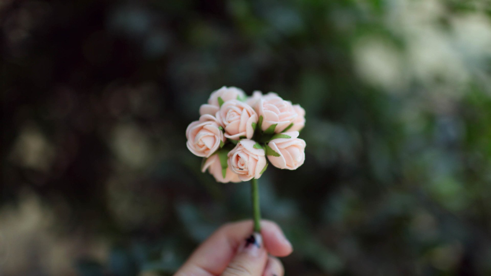 小清新 温暖 干净 安静 唯美 静物 物语 时光