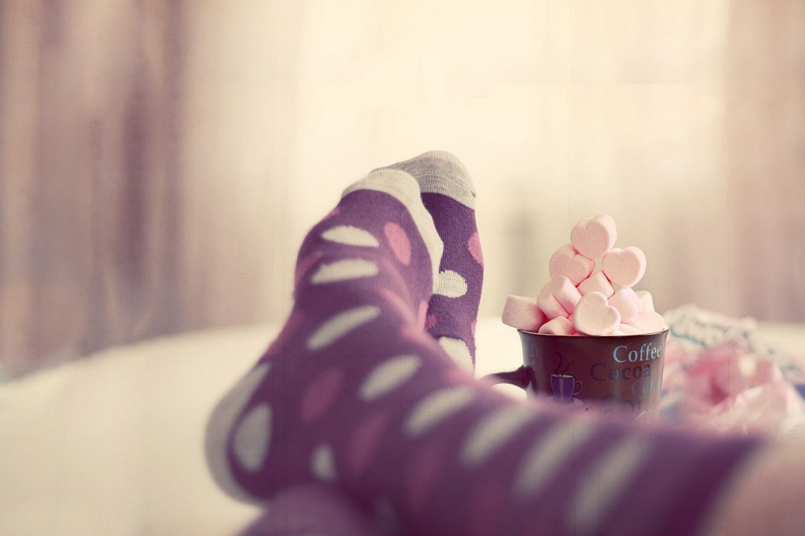 小清新 温暖 干净 安静 唯美 静物 物语 时光