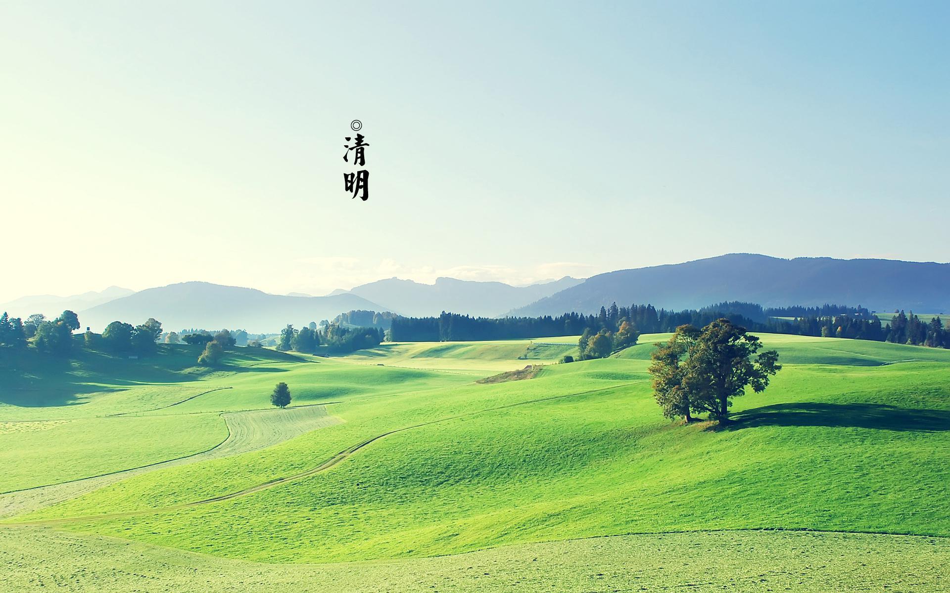 清明节 绿色护眼