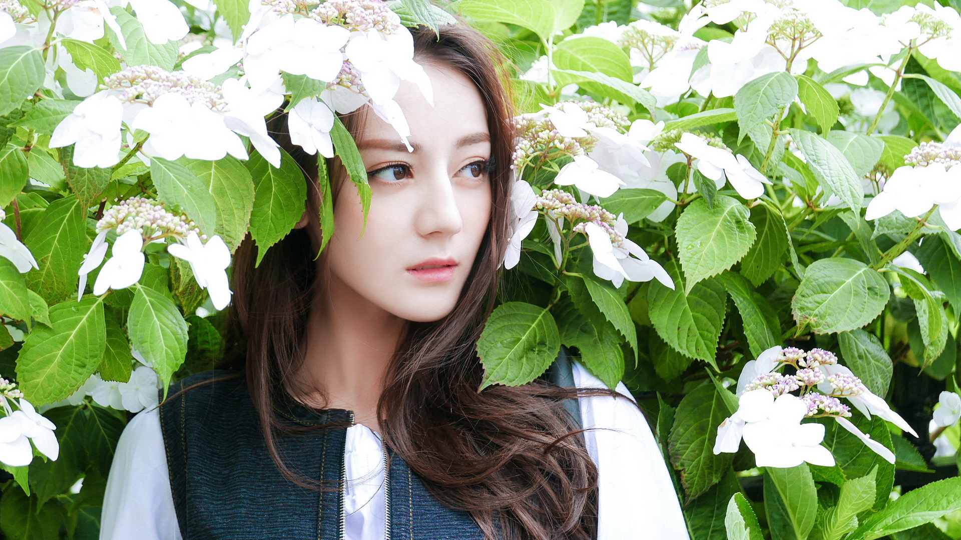 内地明星 迪丽热巴