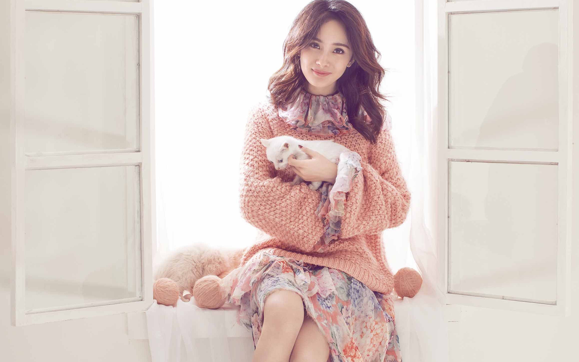 杨幂 写真 冬日 猫咪