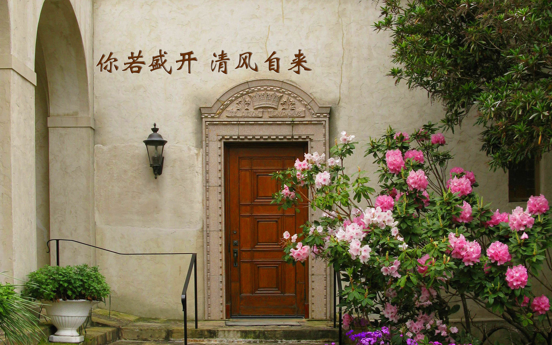 文字 你若盛开清风自来