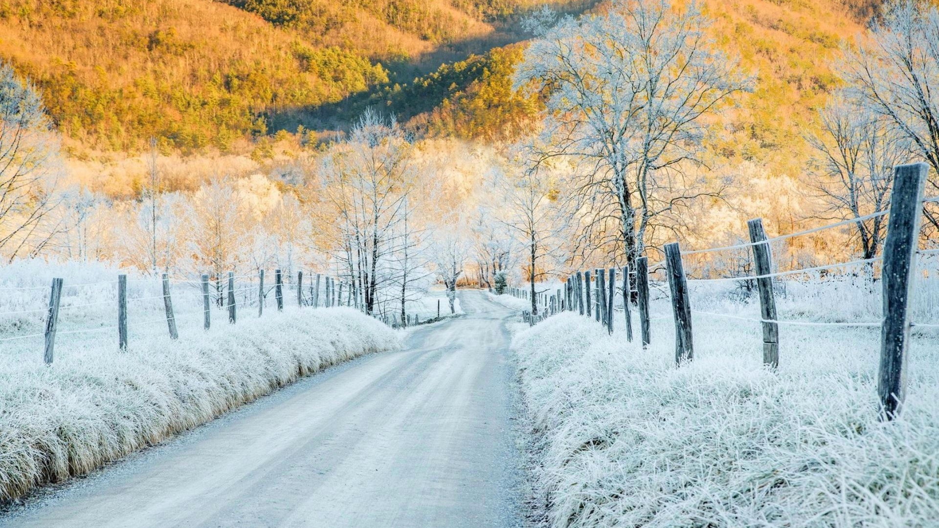 冰天雪地