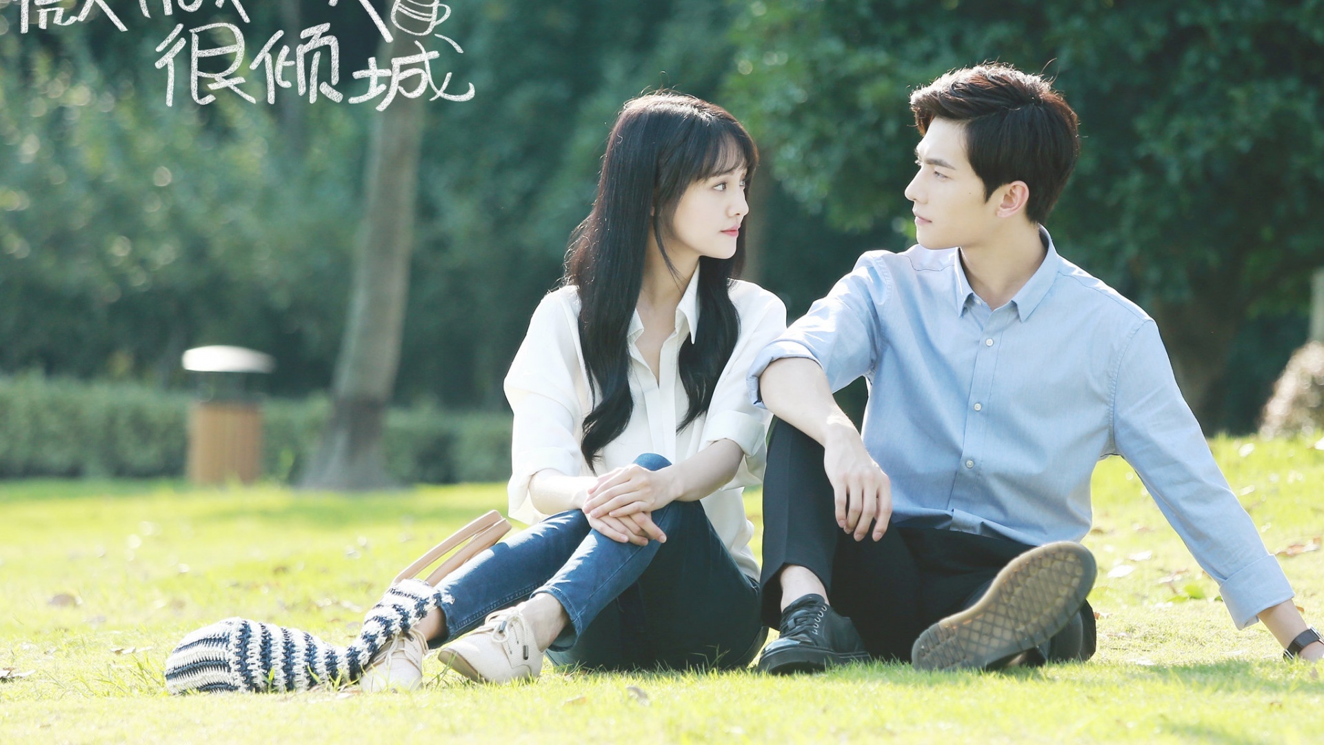 微微一笑很倾城 杨洋 郑爽 明星