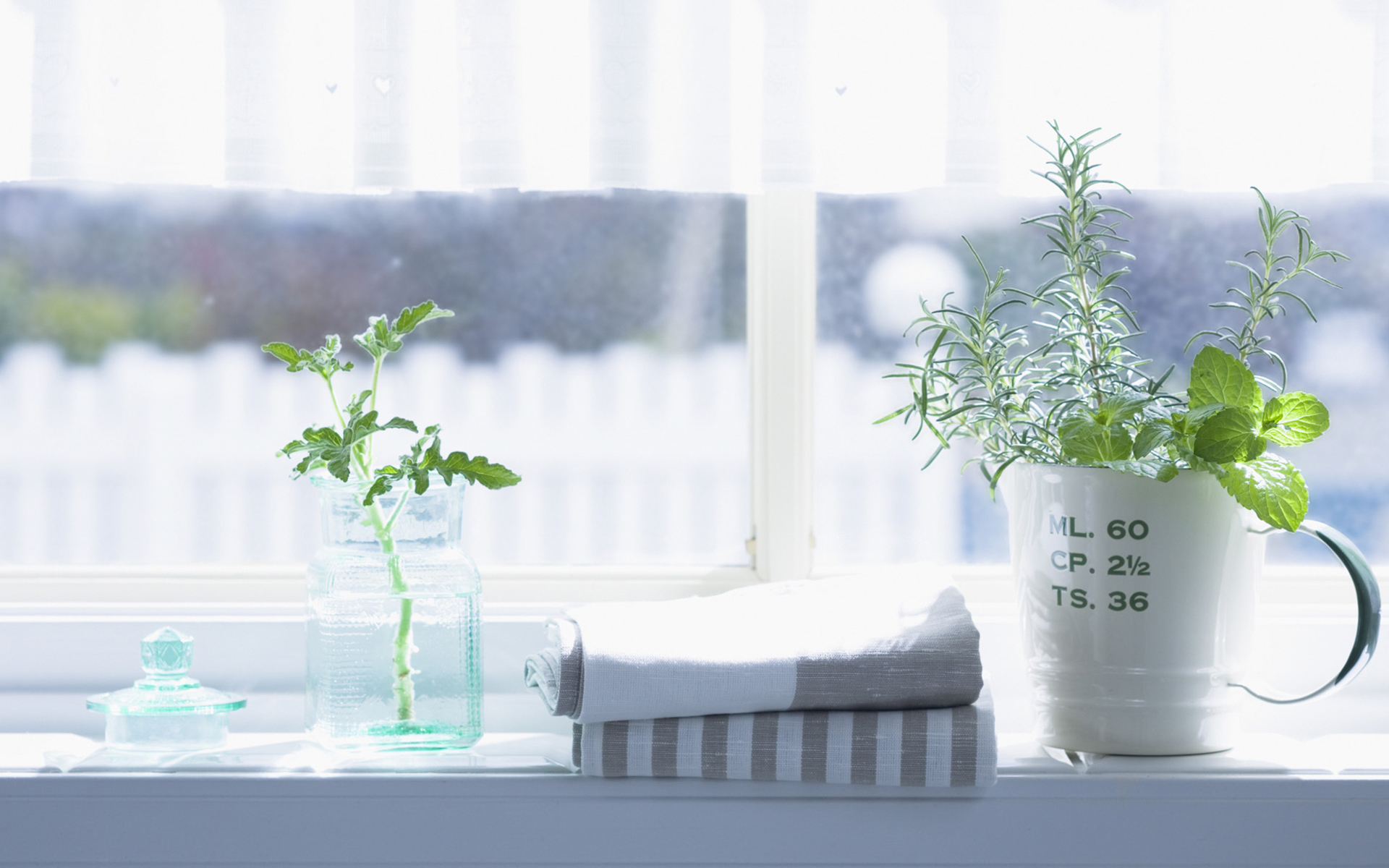 小清新 静物写真 窗台 盆栽