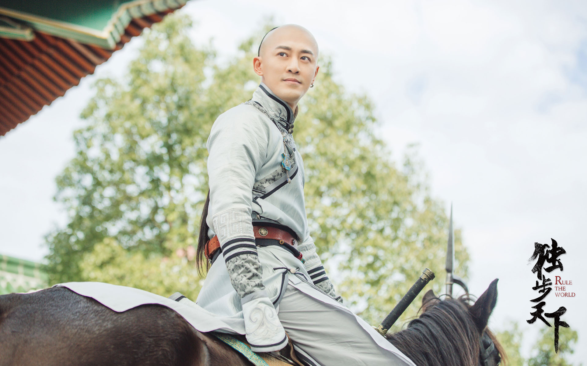 影视 电视剧 独步天下