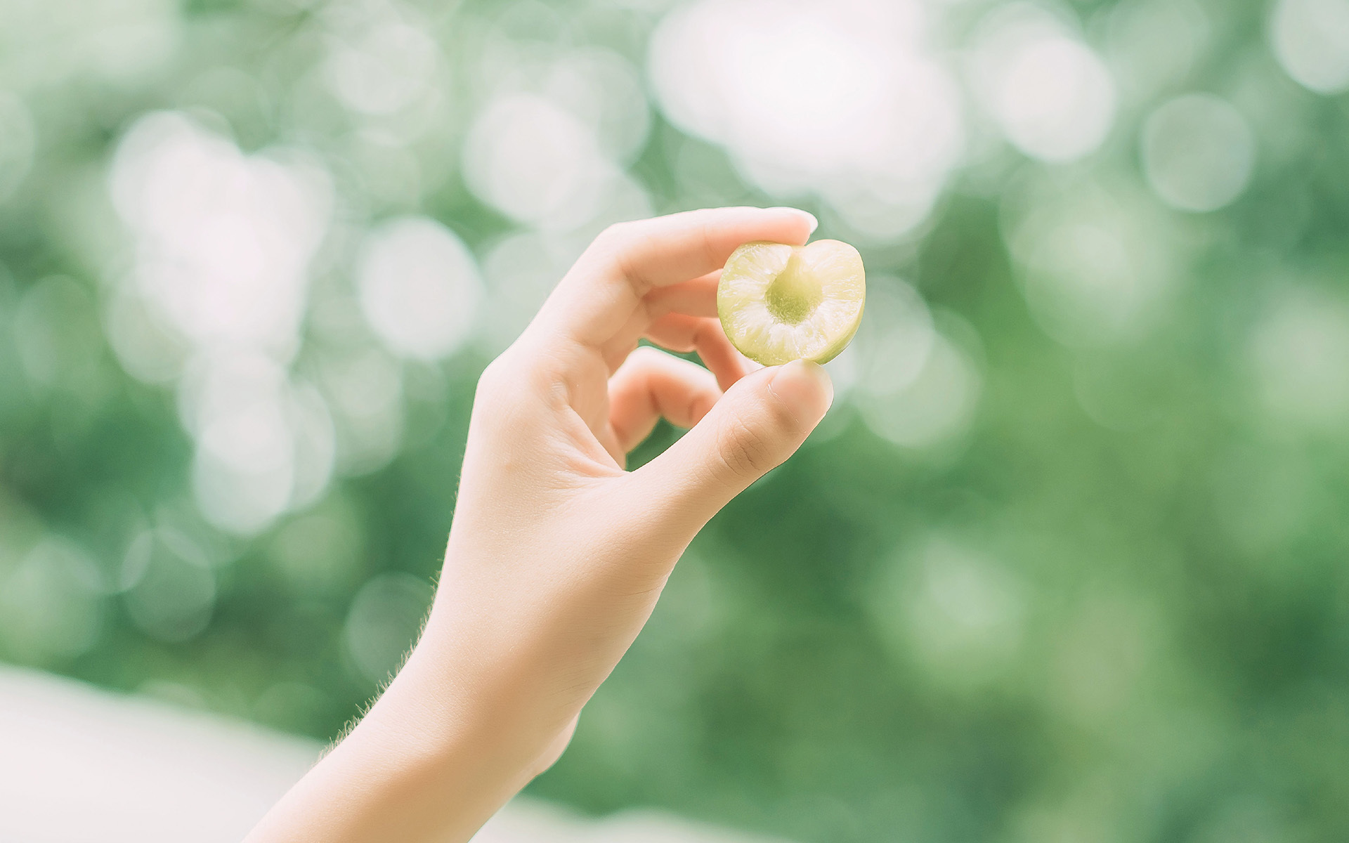 静物写真   夏日的李子