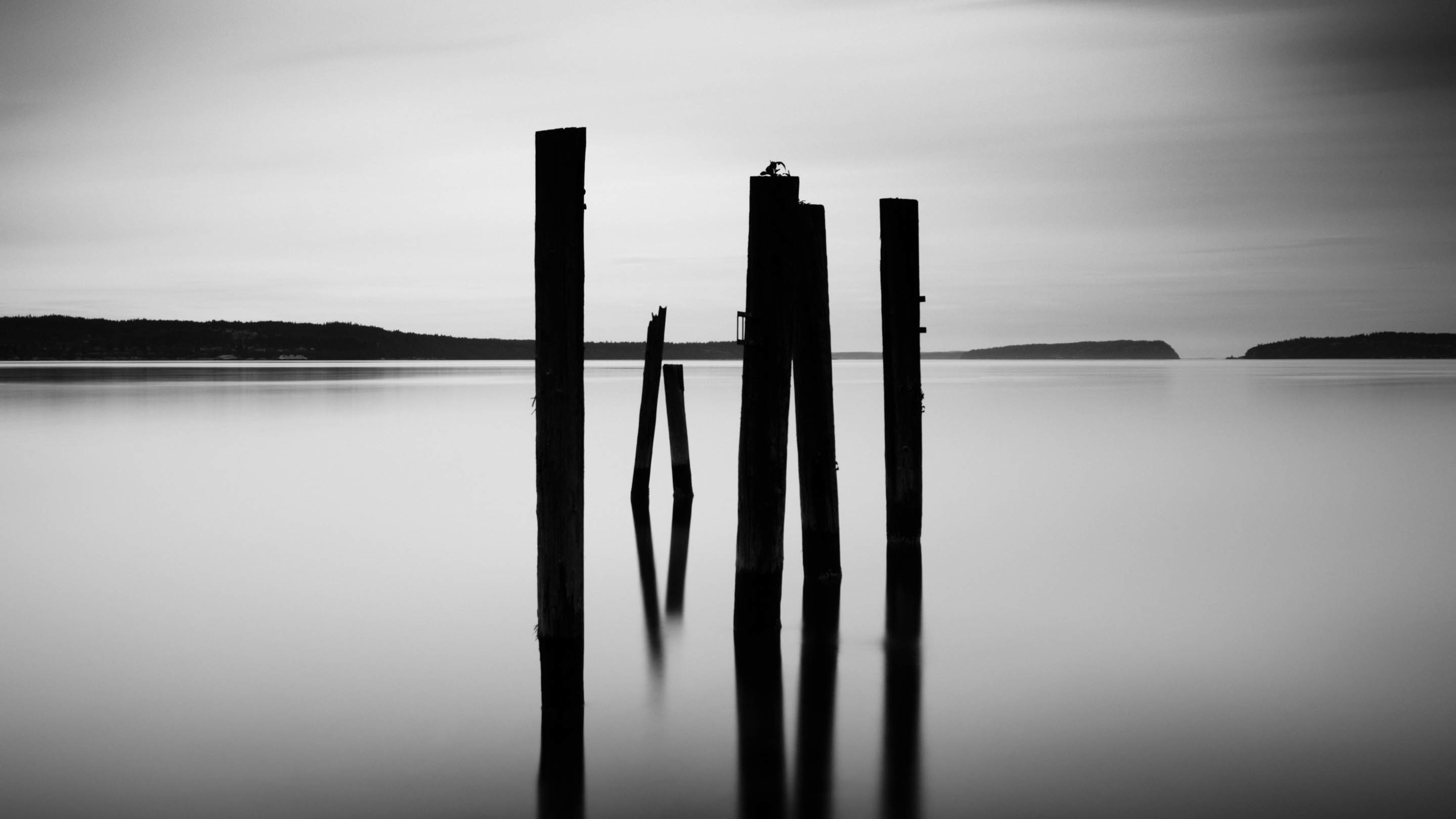 湖泊 黑白 意境 木桩