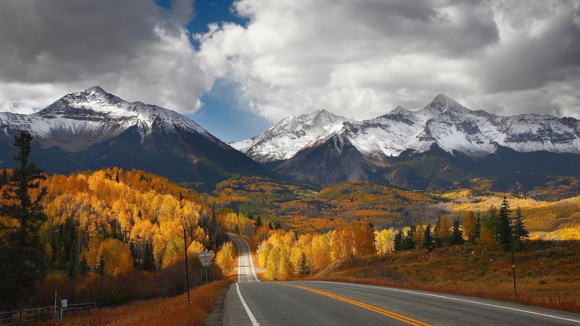风景 秋意正浓 道路 森林