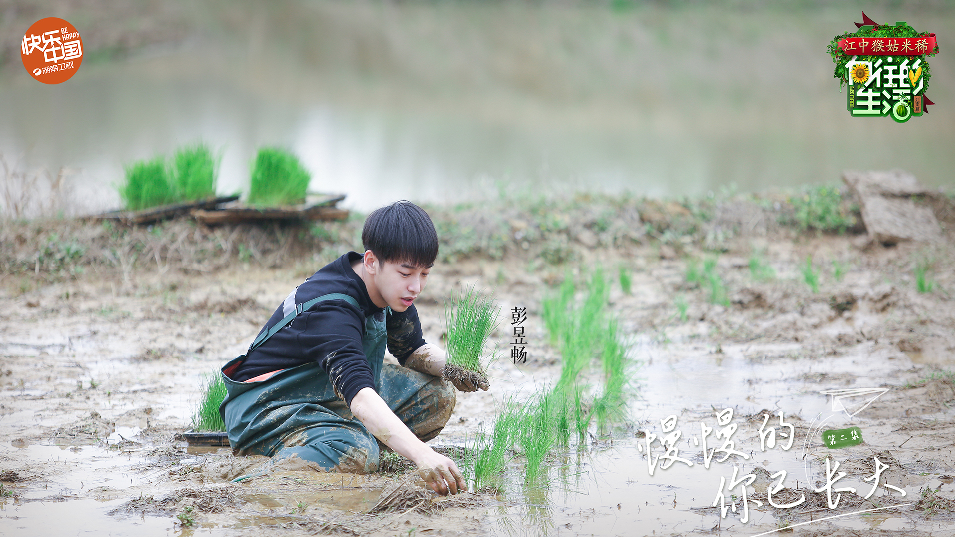 影视 综艺 向往的生活2 彭昱畅