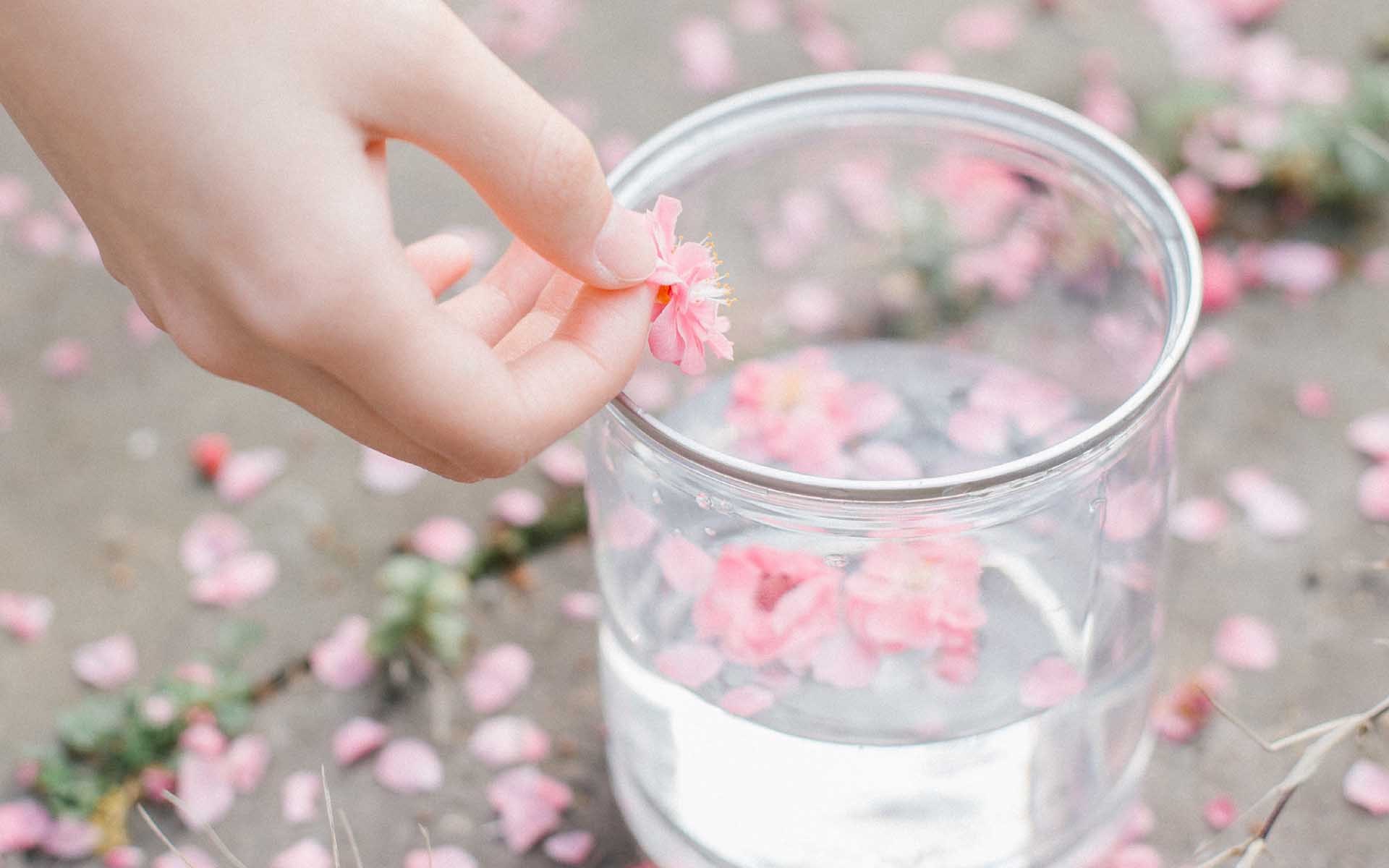 小清新 温馨一刻 桃花