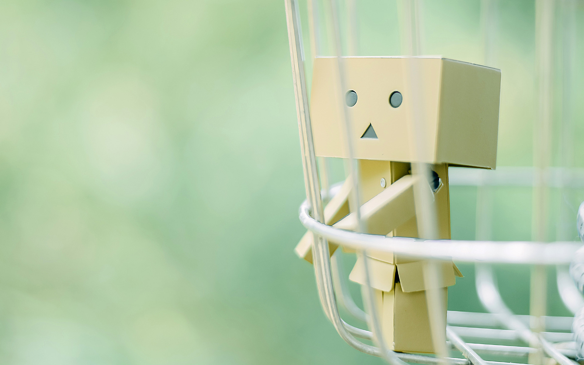 小清新 纸盒人 阿愣 静物写真