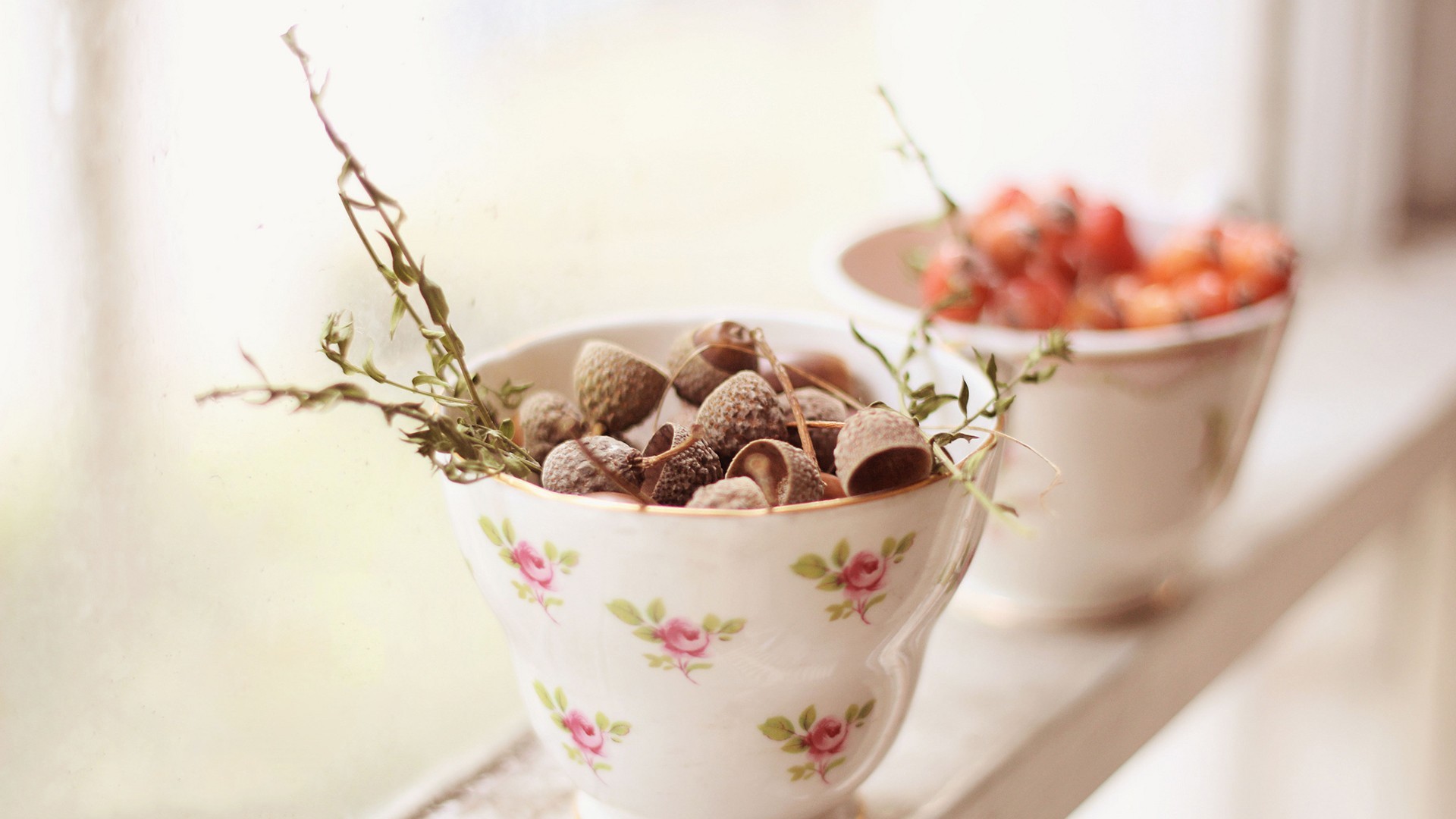 小清新 植物 盆栽