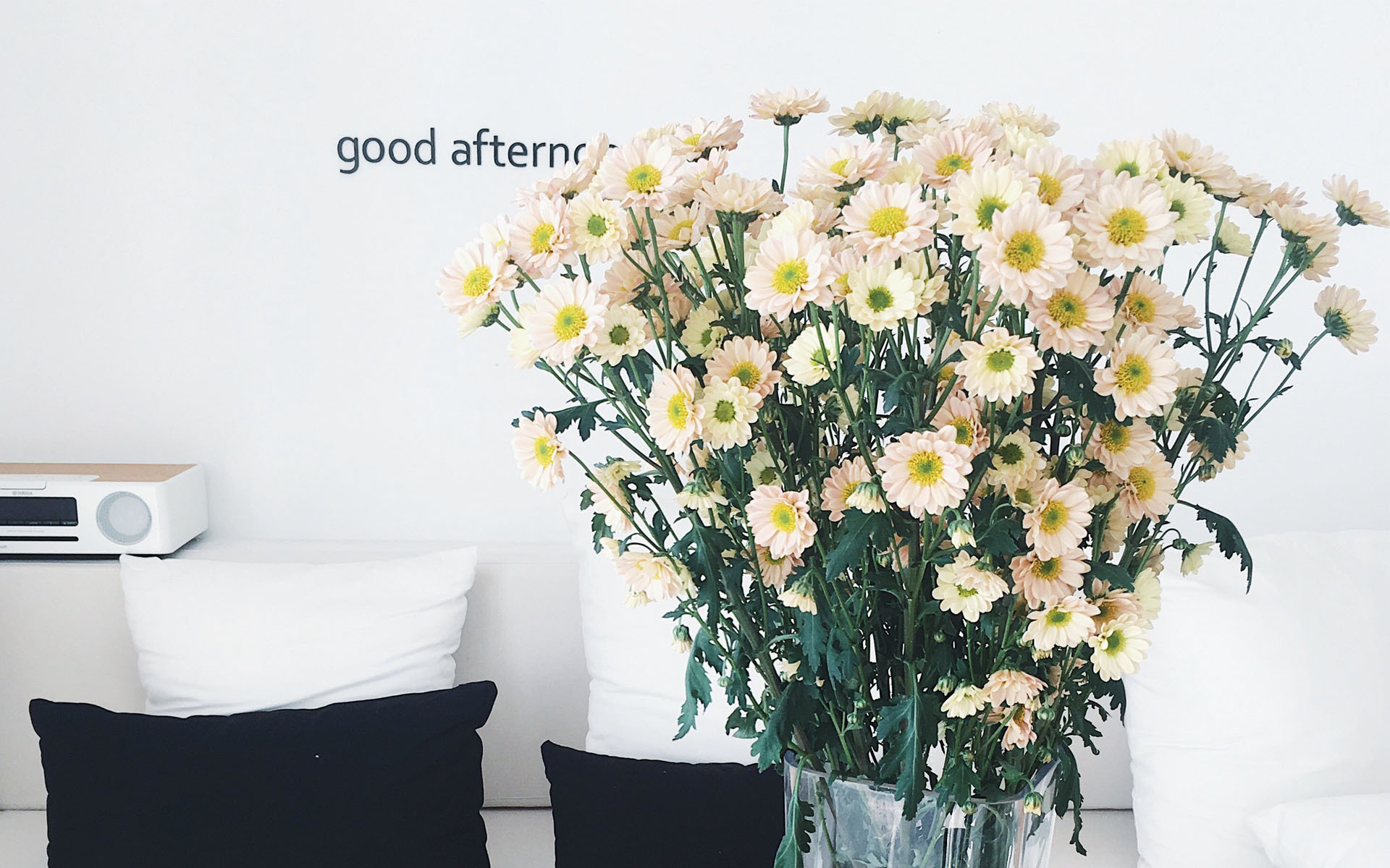 小清新 小野菊 抱枕