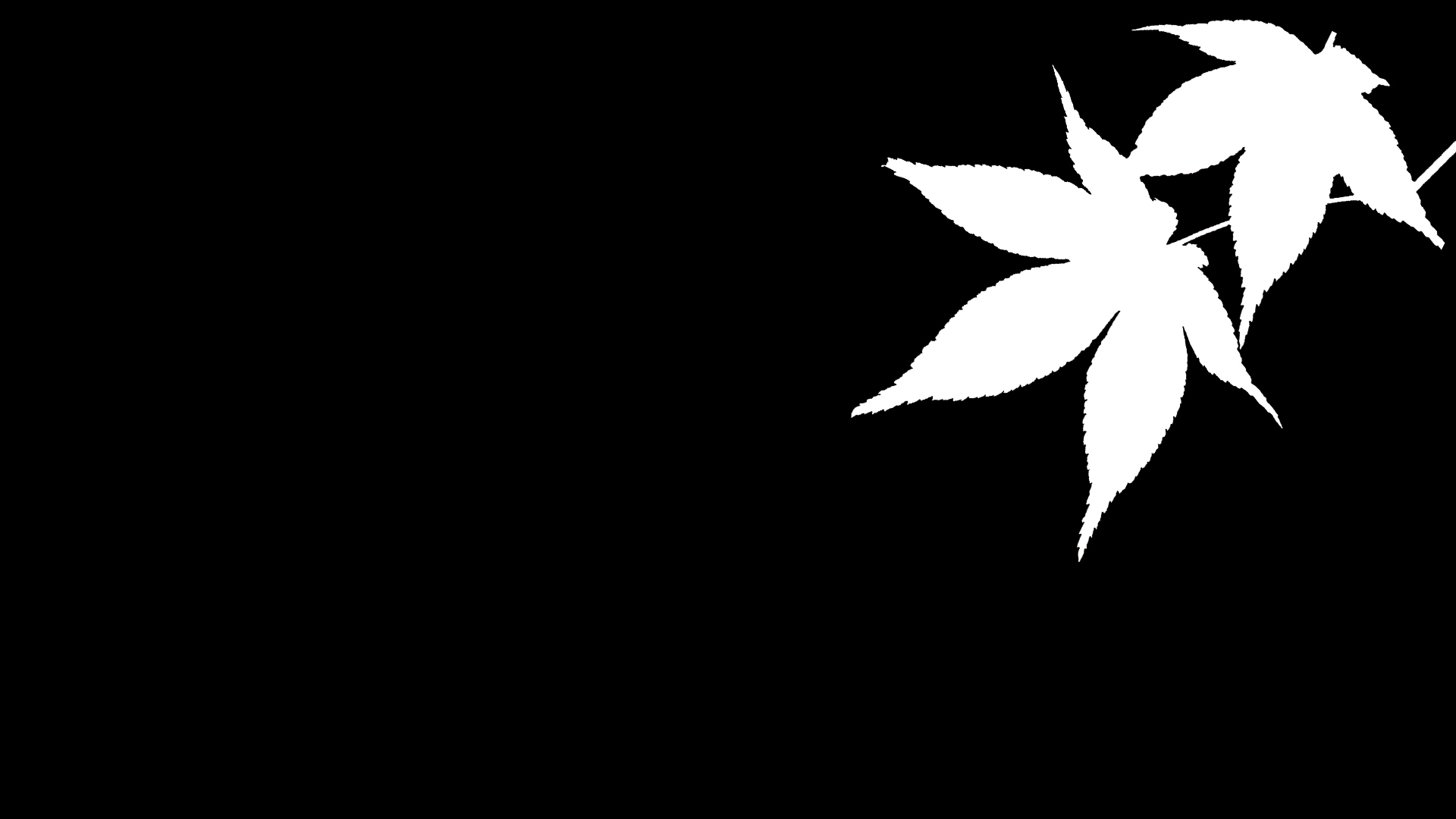 简约 枫叶 剪影