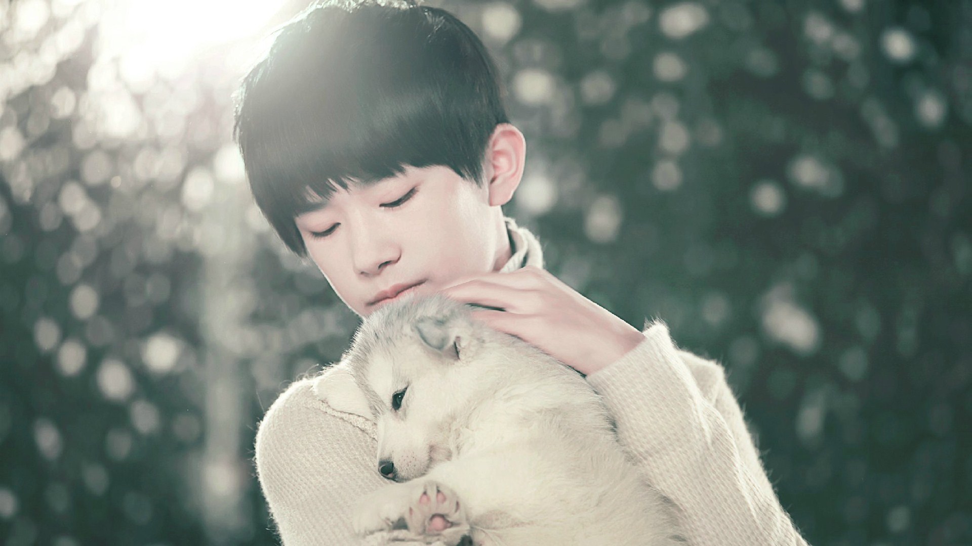 明星 组合 小鲜肉 TFBOY