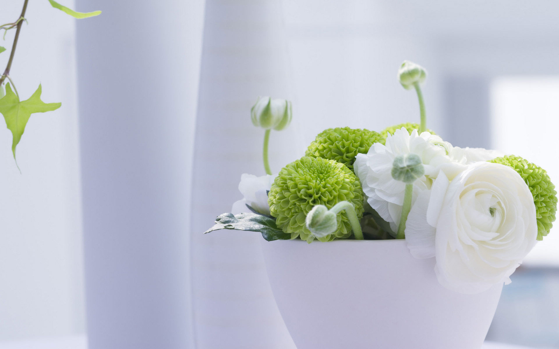 小清新 盆景 淡雅 宽屏