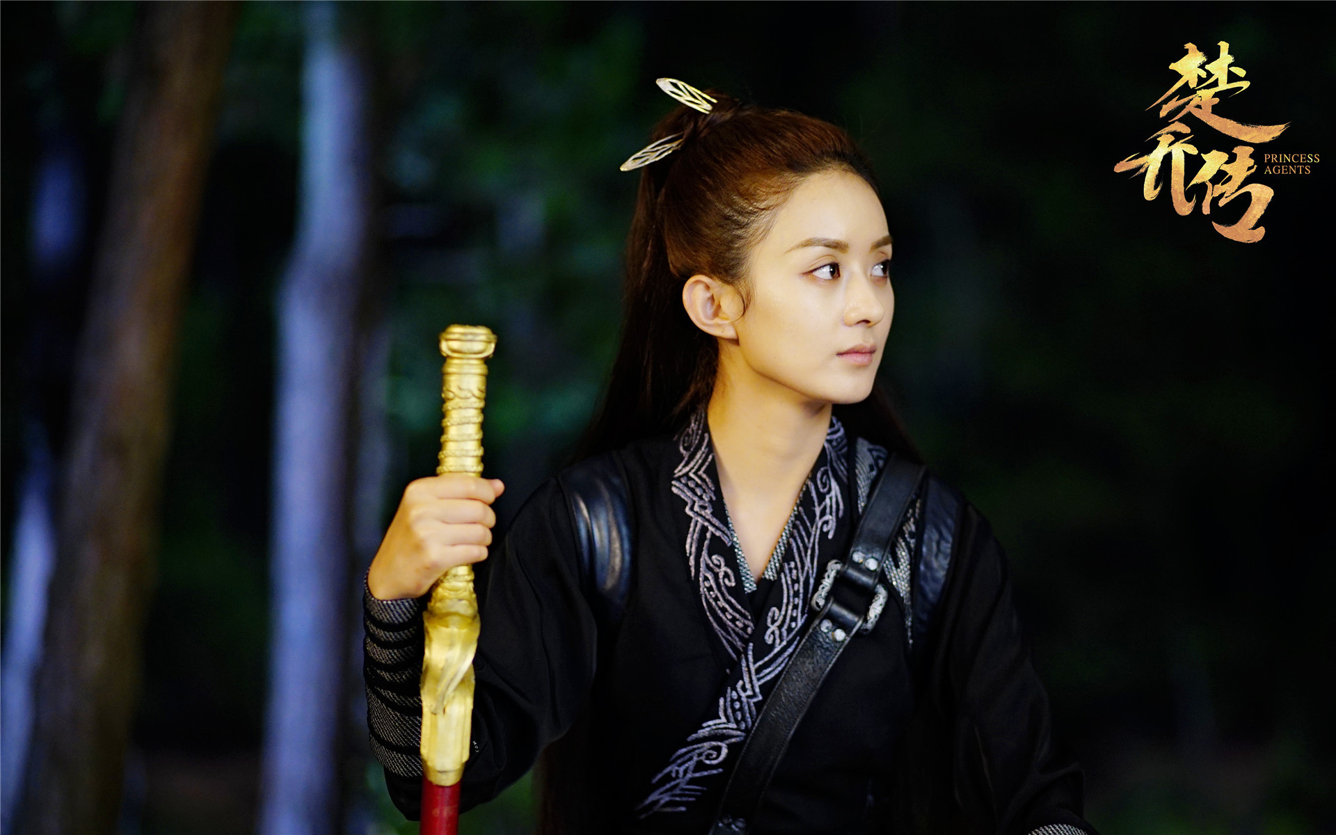 影视 电视剧 楚乔传 赵丽颖