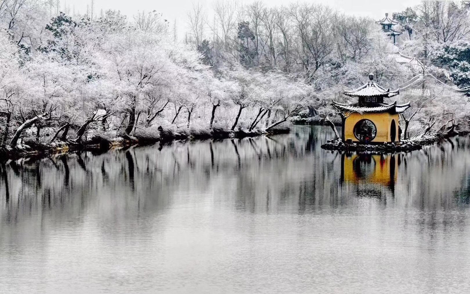 旅游胜地   湖中树林