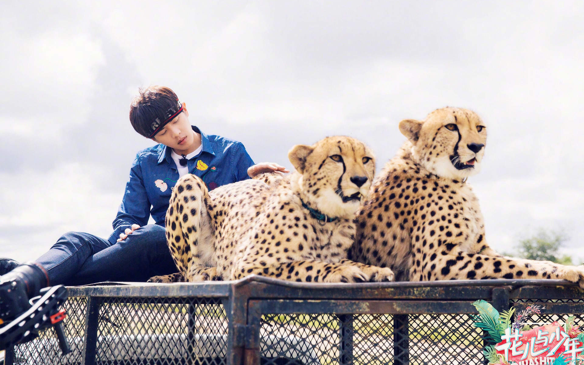 影视 综艺 张若昀 花儿与少年3