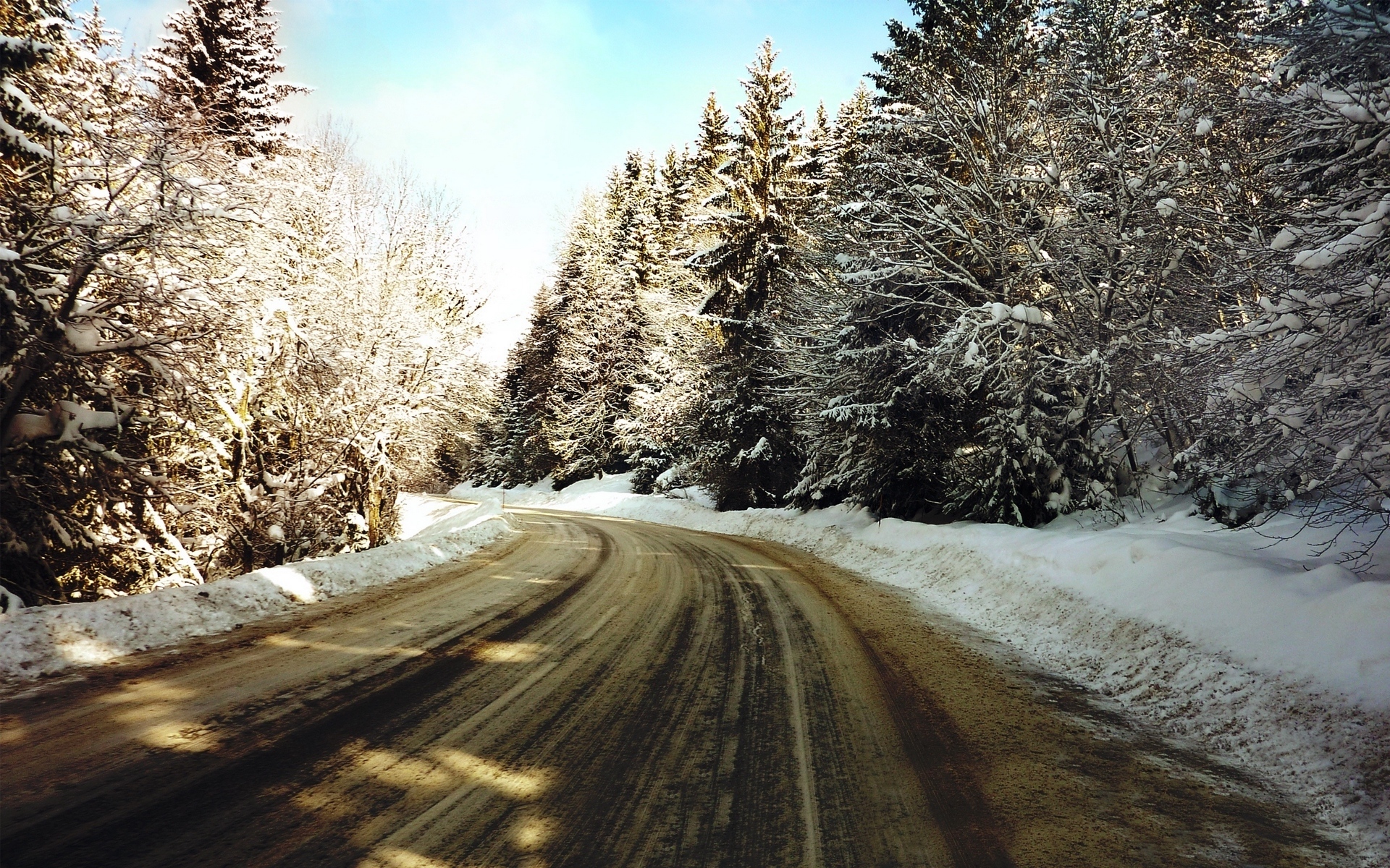 冰天雪地  冬日里的小路