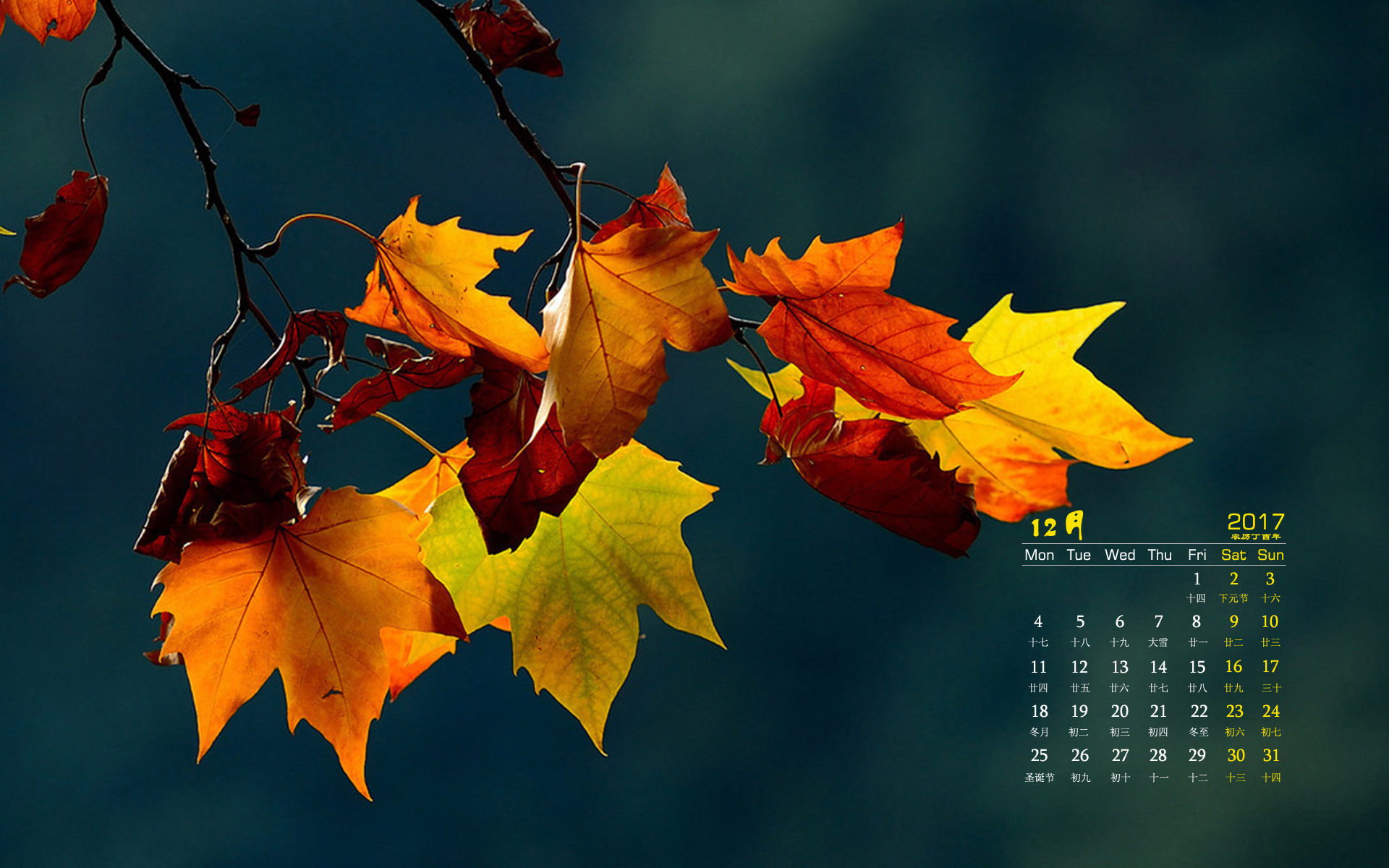 月历 枫叶 秋天