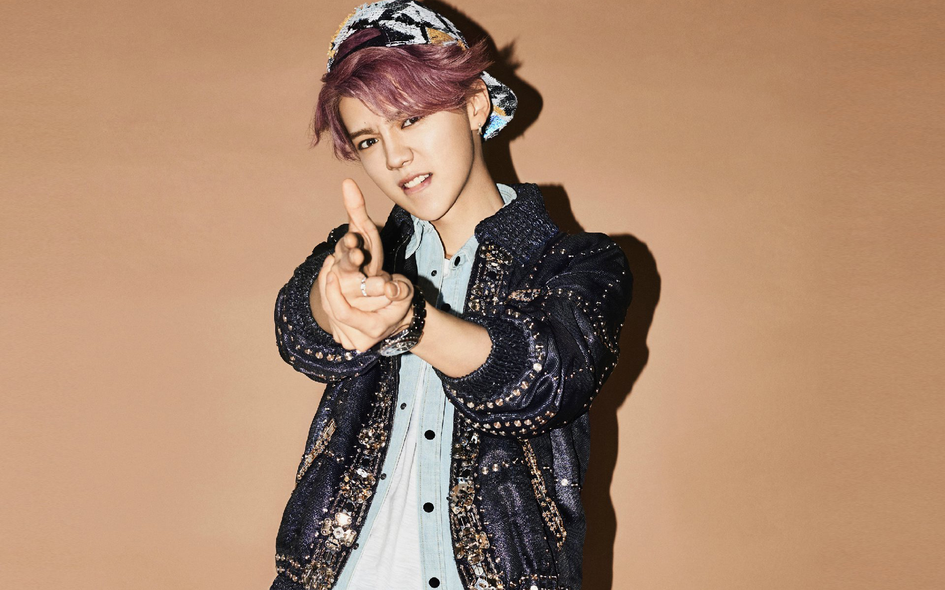 鹿晗 歌手 小鲜肉