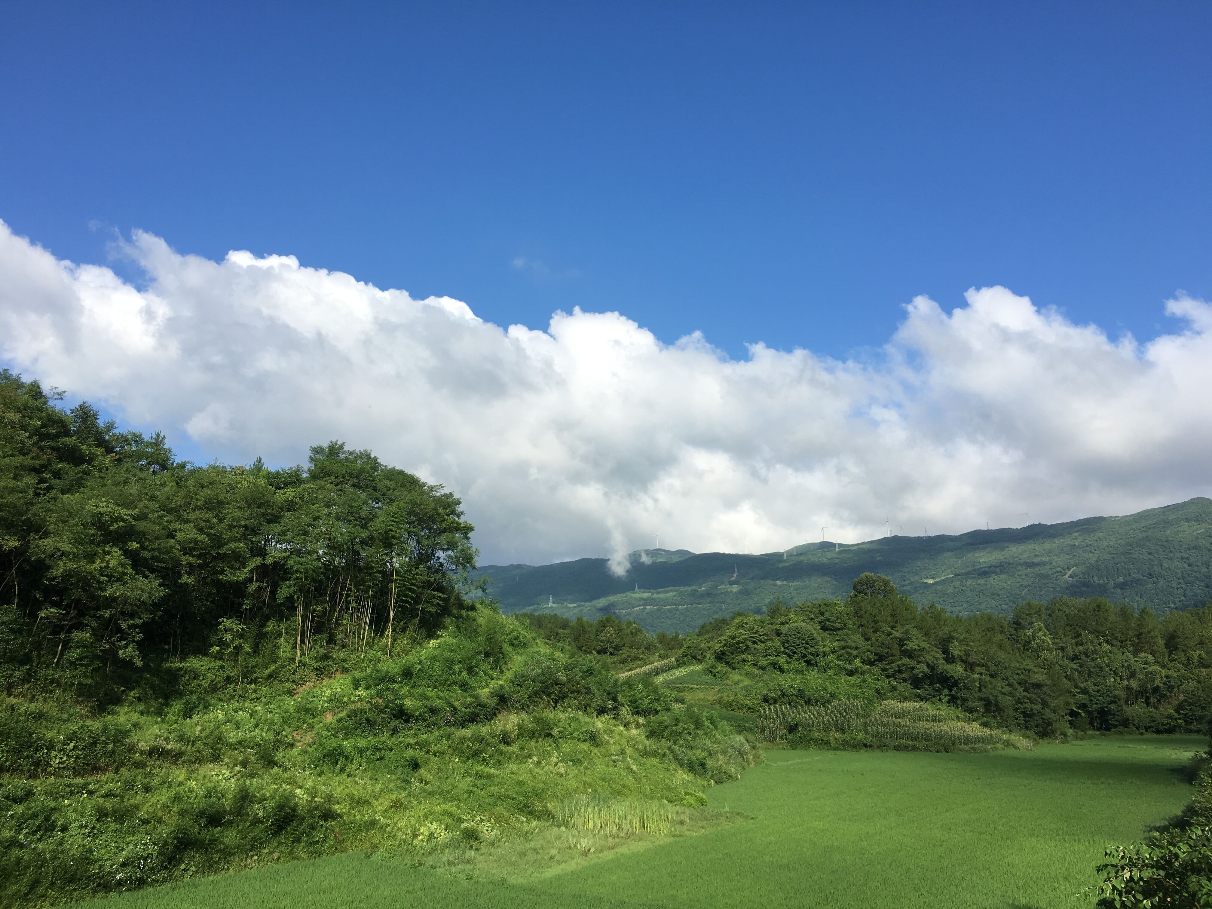 风景 自然