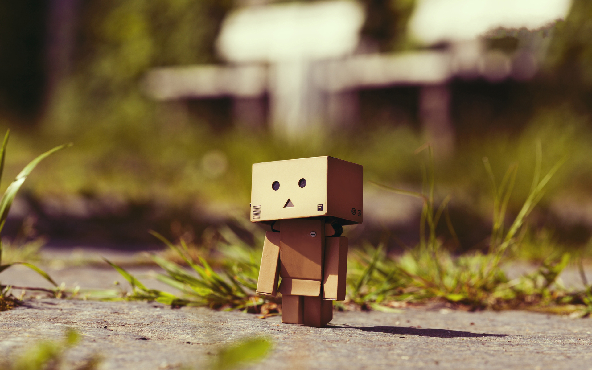 小清新  纸箱人   呆萌   可爱   宽屏