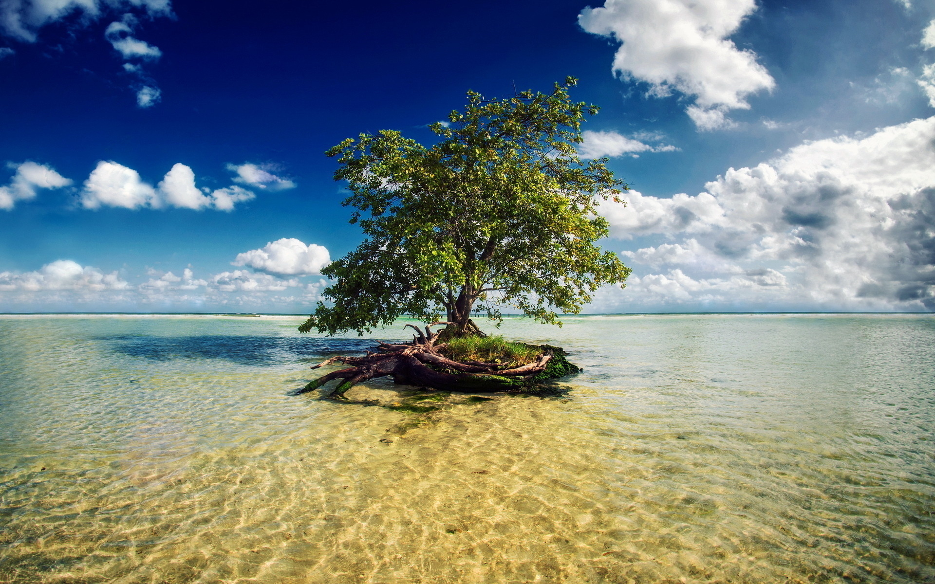 风景 海洋天堂 大海
