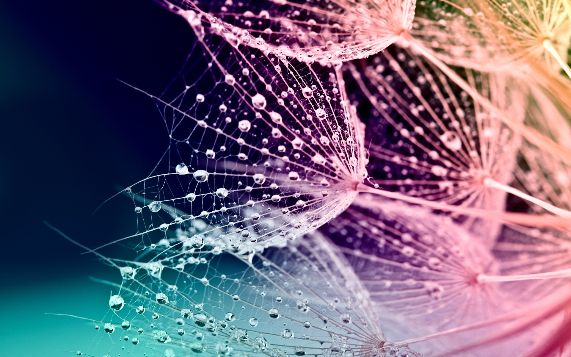 炫彩  炫丽的颜色  五颜六色