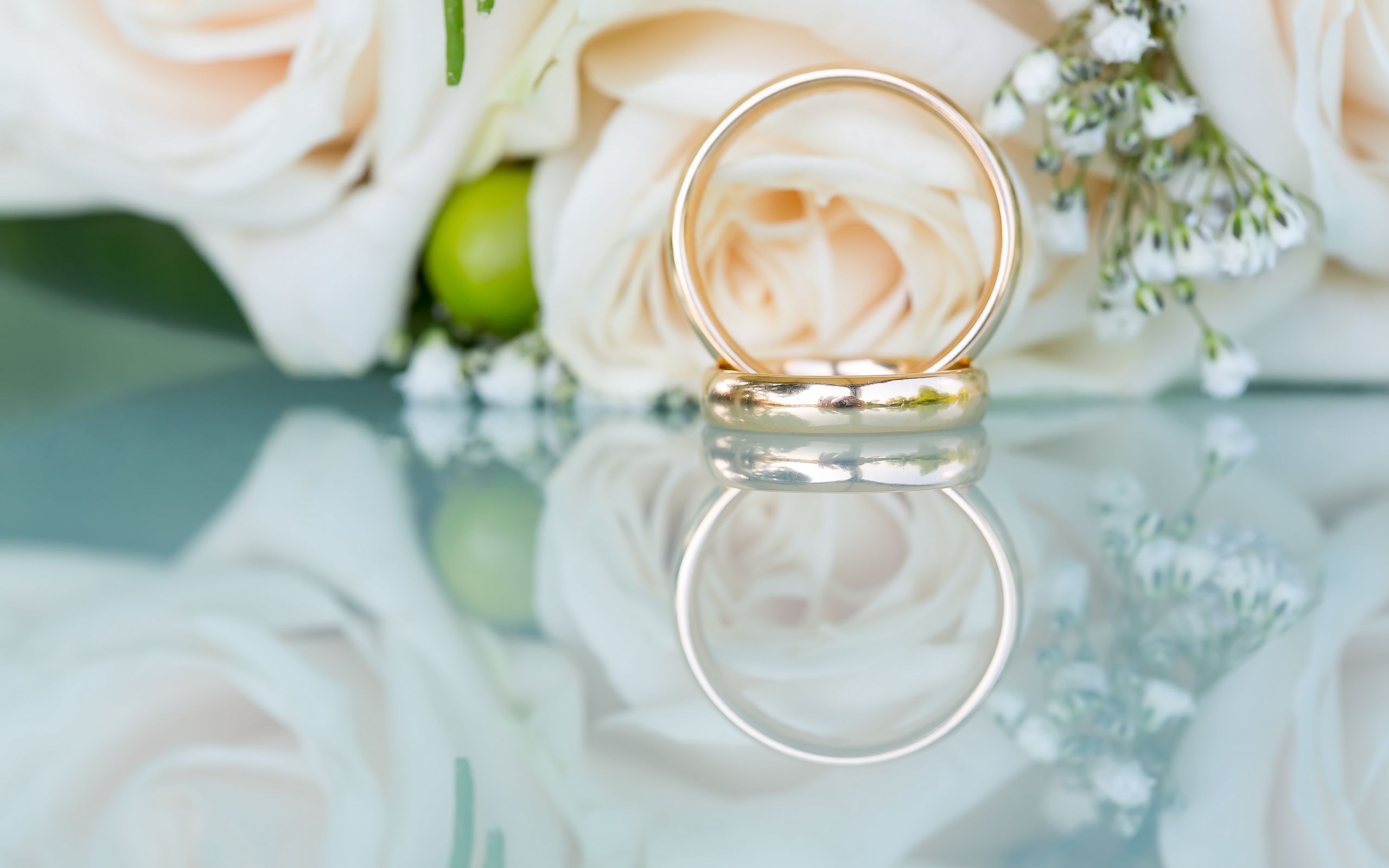 唯美温馨 戒指 白玫瑰花