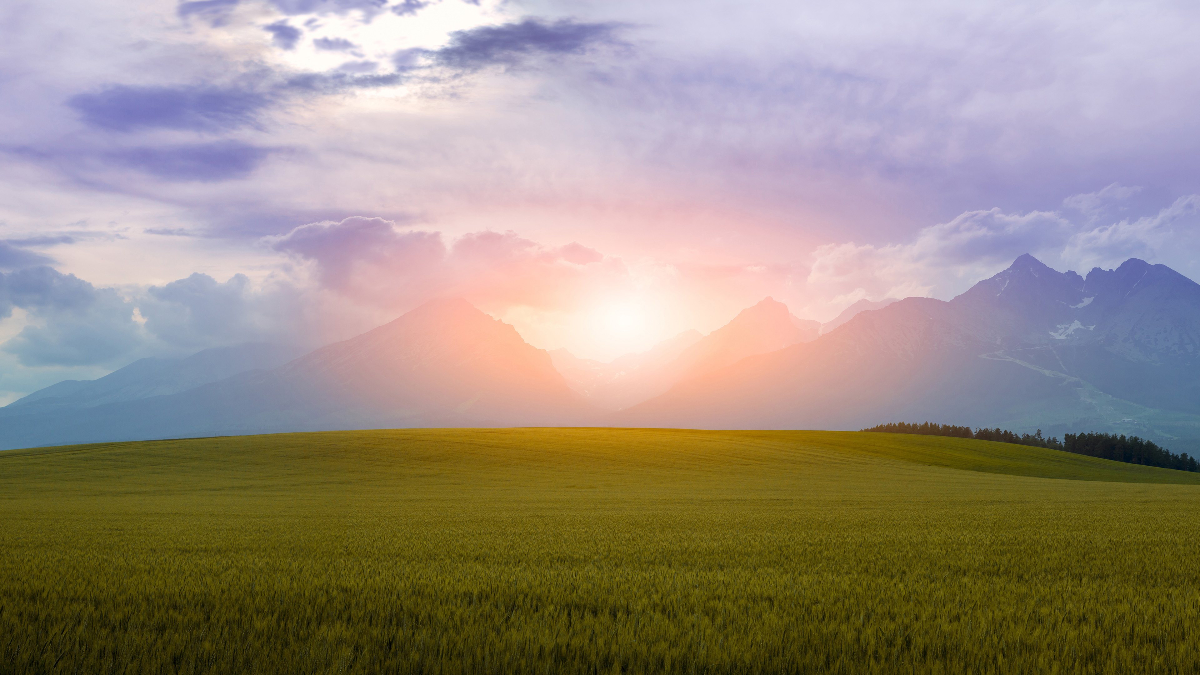 4K 风景 草地 草原 日出