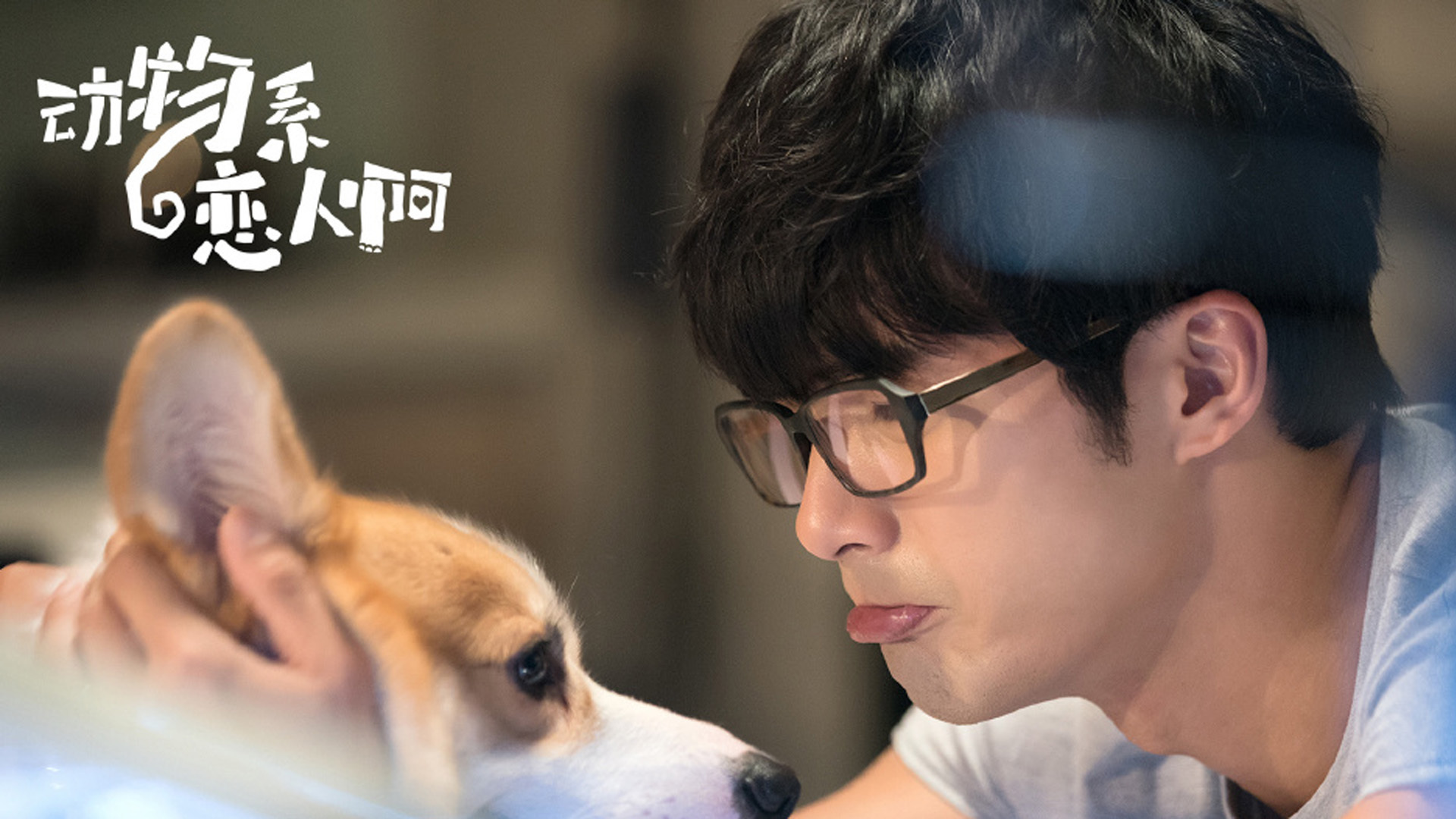 影视剧照 动物系恋人 贺军翔