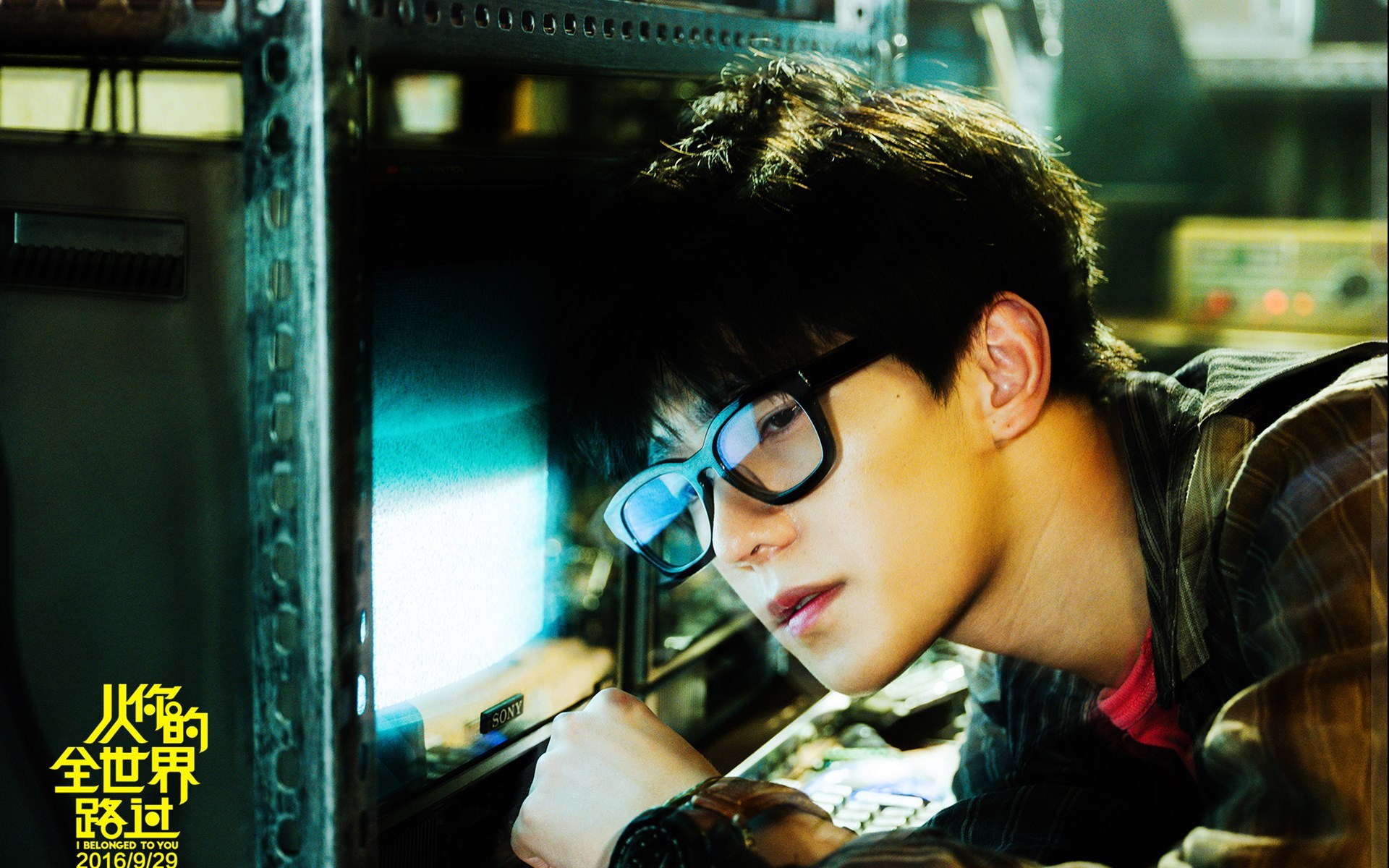 杨洋 从你的全世界路过