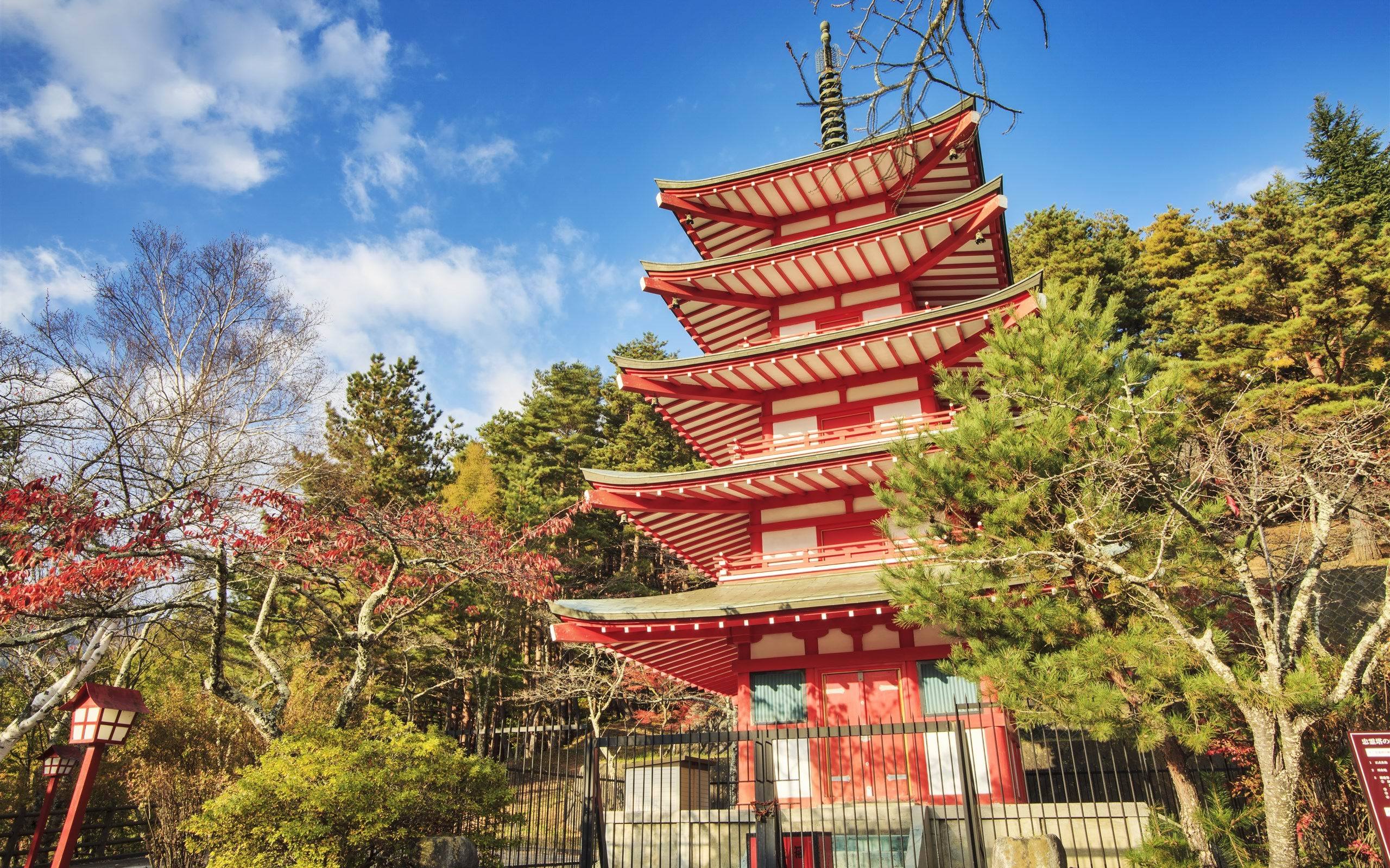 旅游胜地 日本 浅草寺