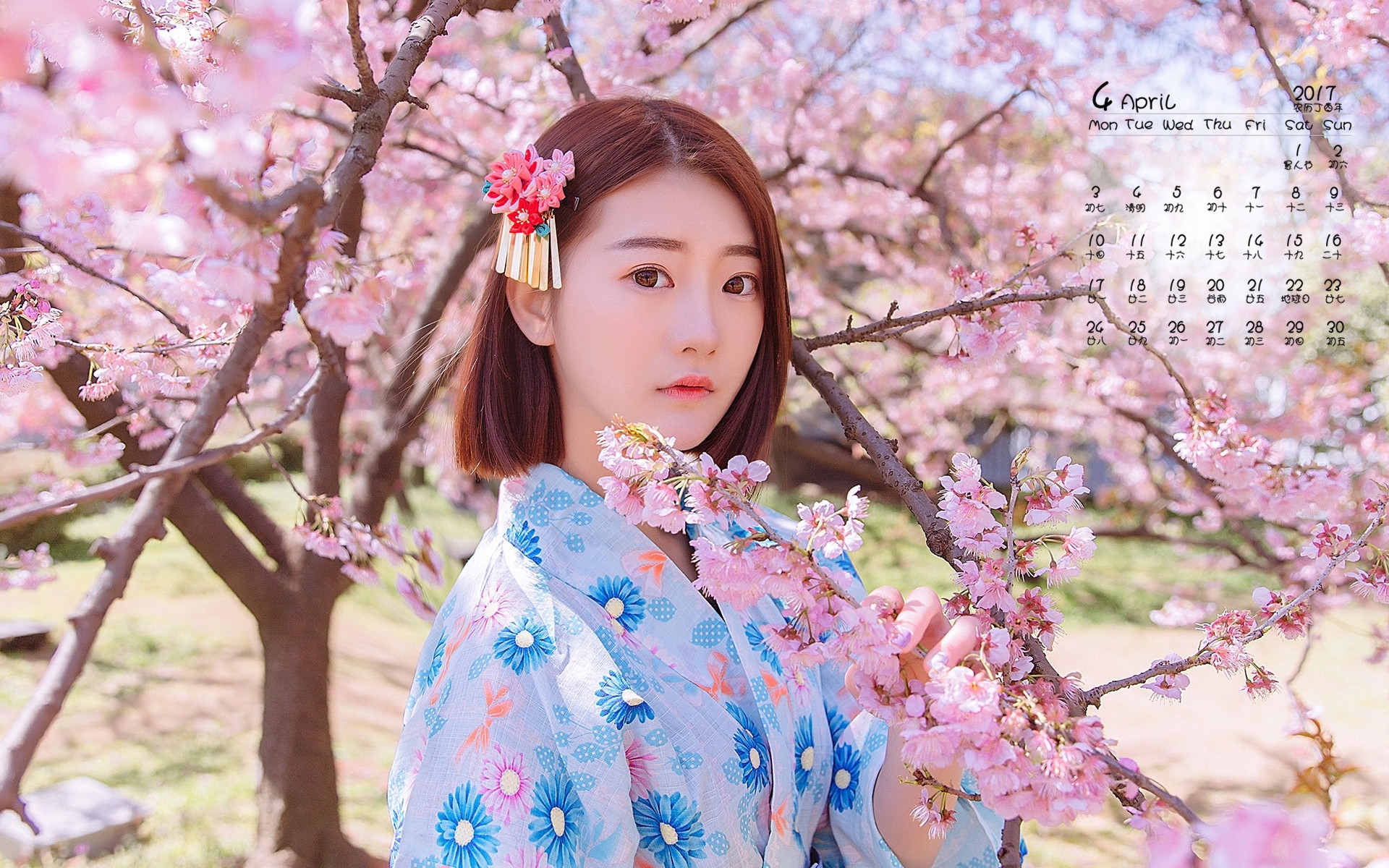 2017年4月 樱花和服美女