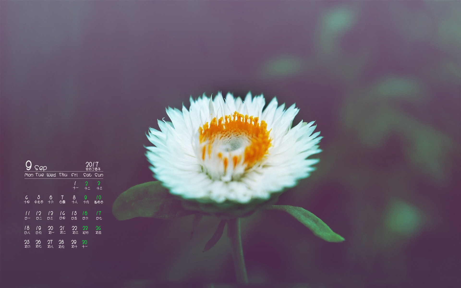月历 2017年9月