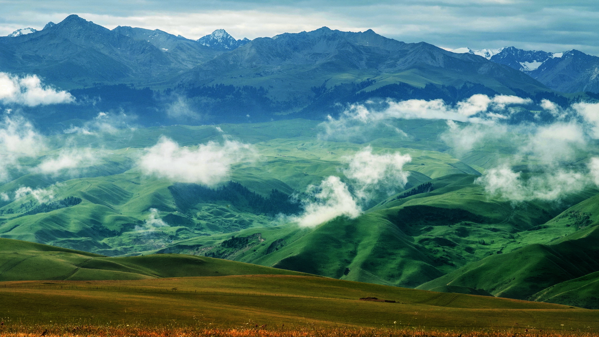 美景 护眼