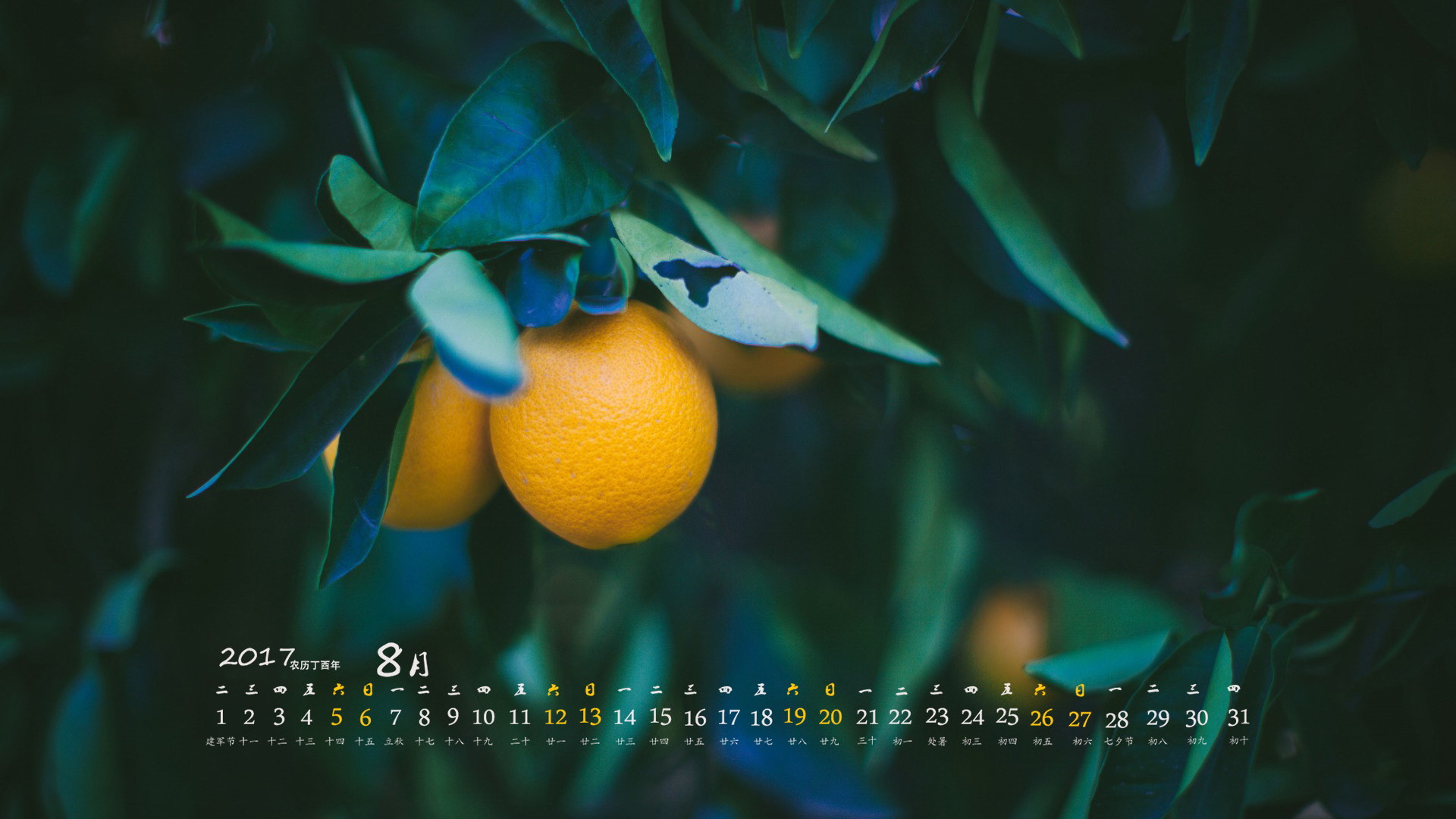 月历 2017年8月