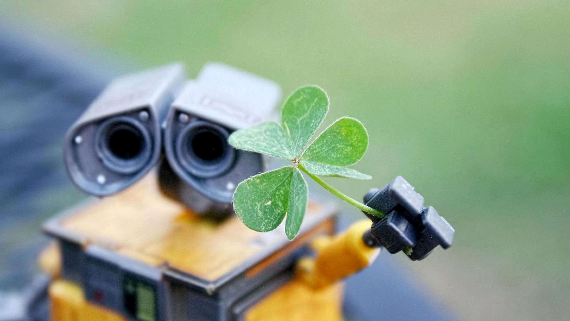 小清新 四叶草 舒缓压力