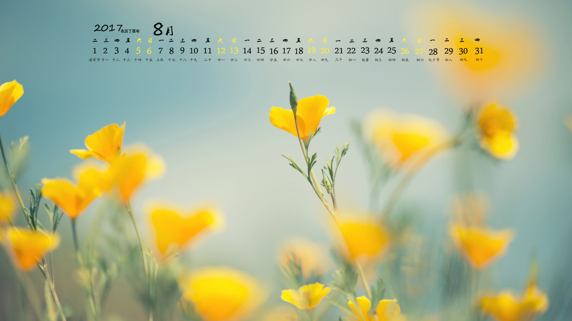 月历 2017年8月