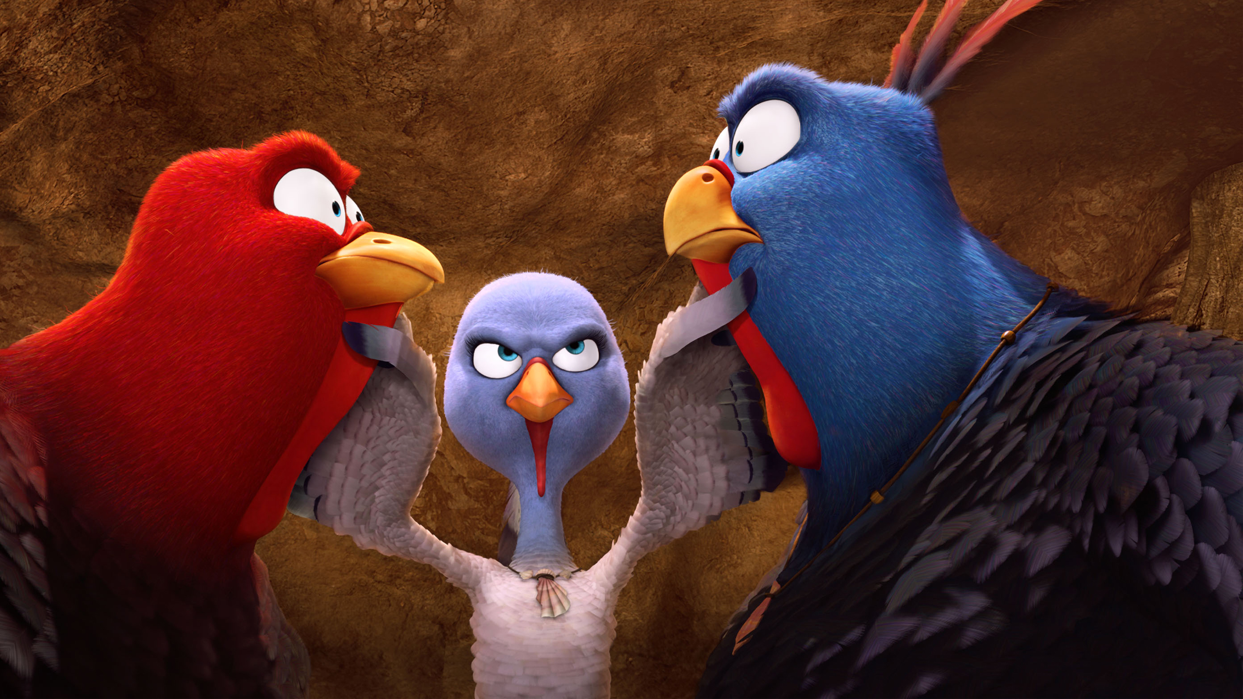 火鸡总动员 卡通