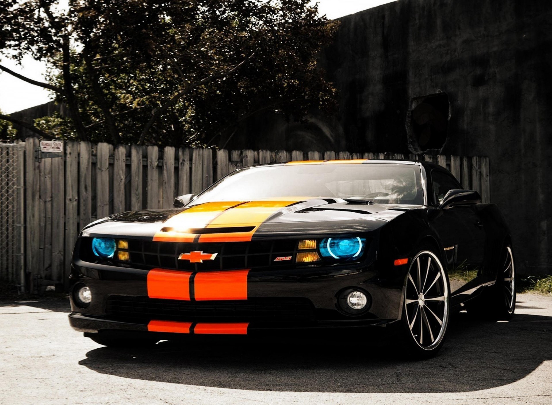 雪佛兰 经典跑车