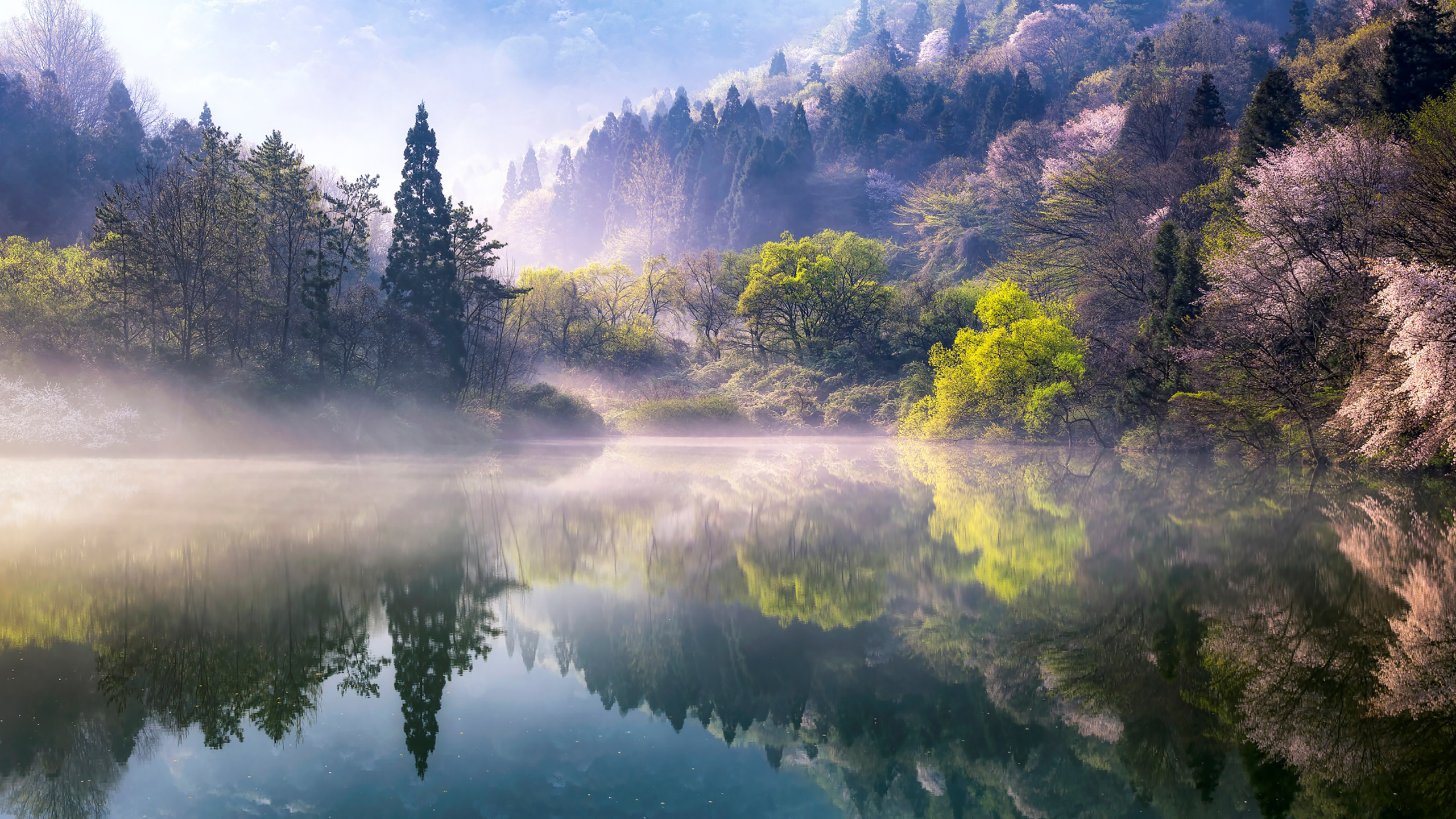 自然风光 雾 湖 山